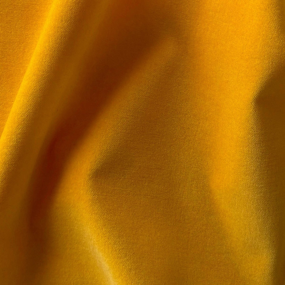 School Bus Yellow Stretch Cotton Velvet (Made in Italy)