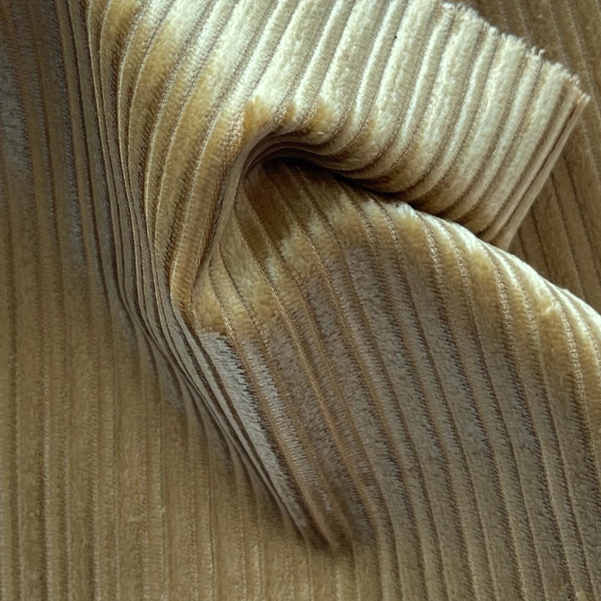 Couture Glossy Golden Ecru Multi-Wale Cotton Blend Corduroy (Made in Italy)