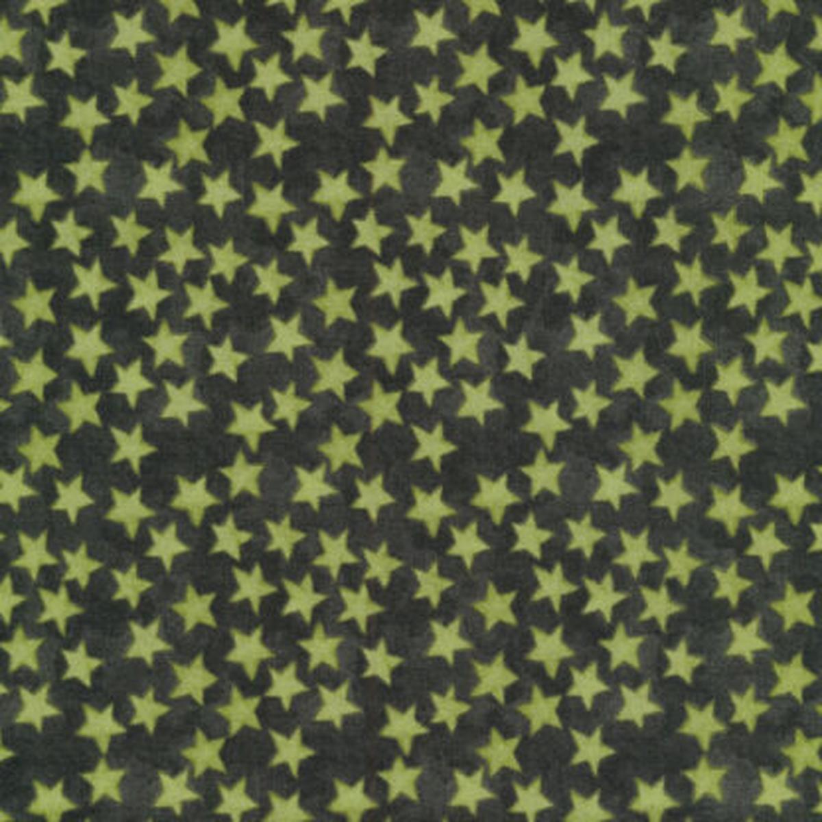 Halloween Whimsy Stars RBC11824-GRN Green Teresa Kogut
