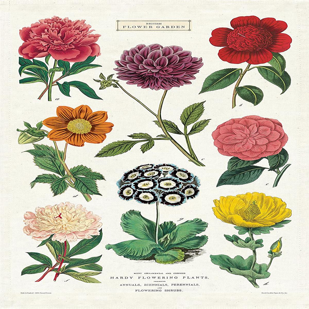 Cavallini & Co. - Tea Towel - Botanica
