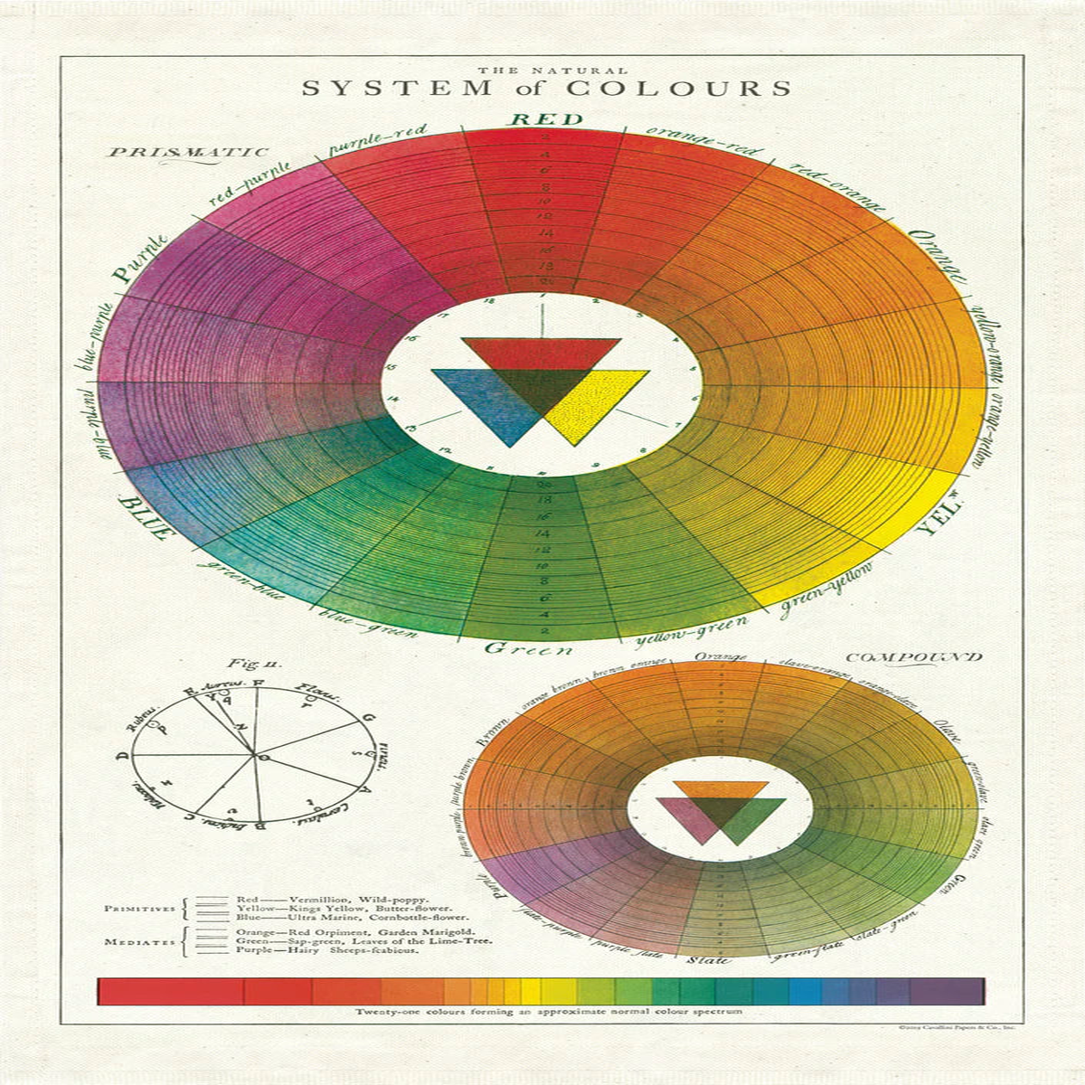 Cavallini & Co. - Tea Towel - Color Wheel