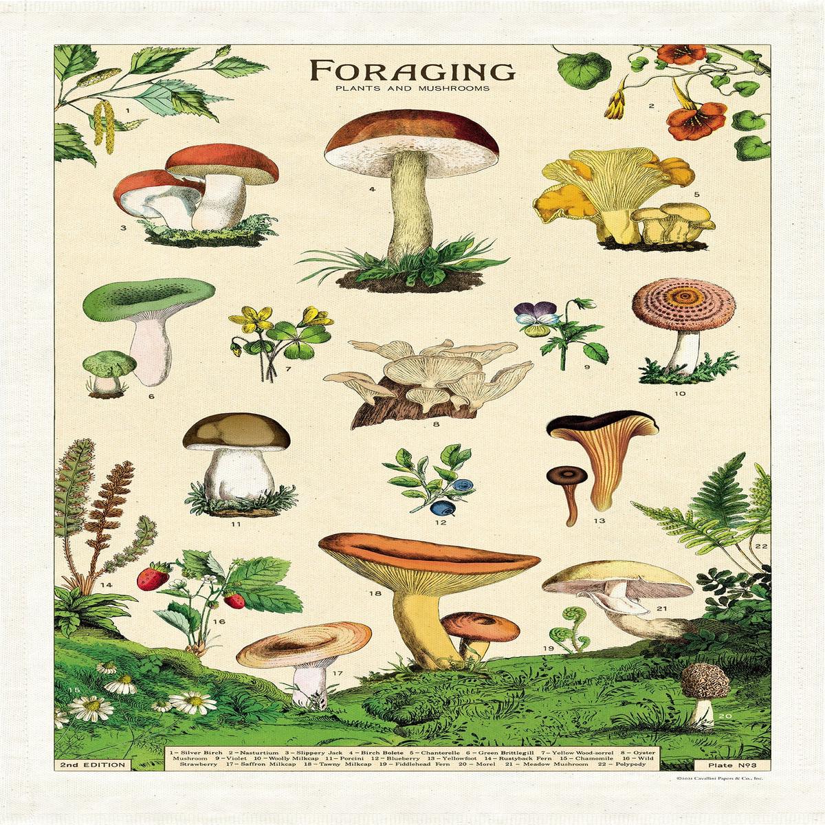 Cavallini & Co. - Tea Towel - Foraging