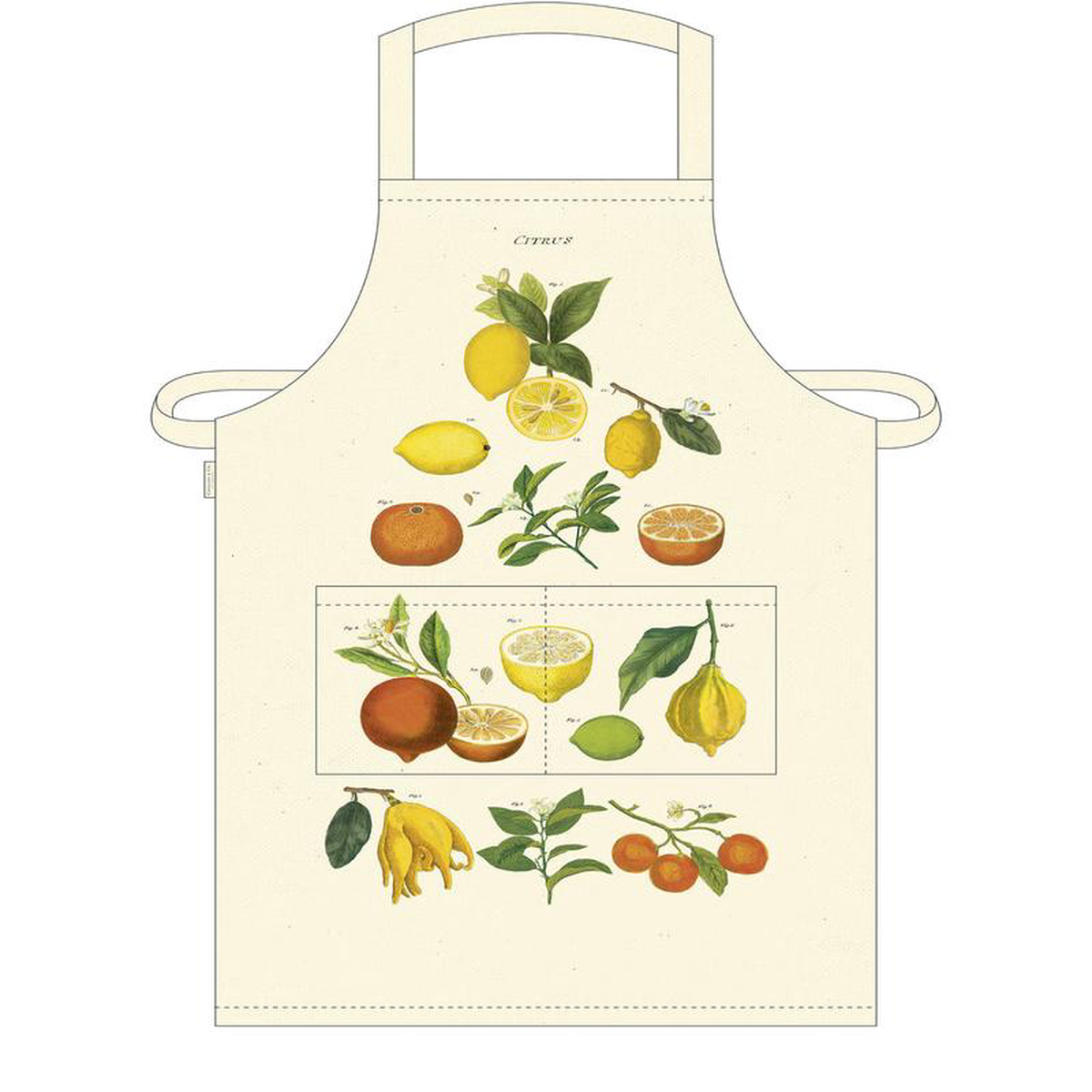 Cavallini & Co. - Apron - Citrus