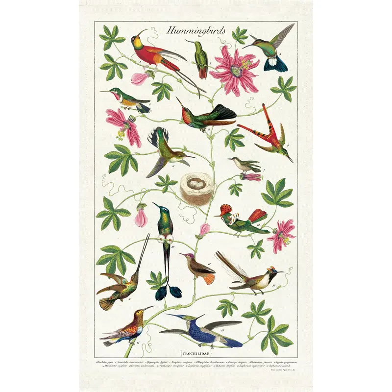 Cavallini & Co. Tea Towel - Hummingbirds