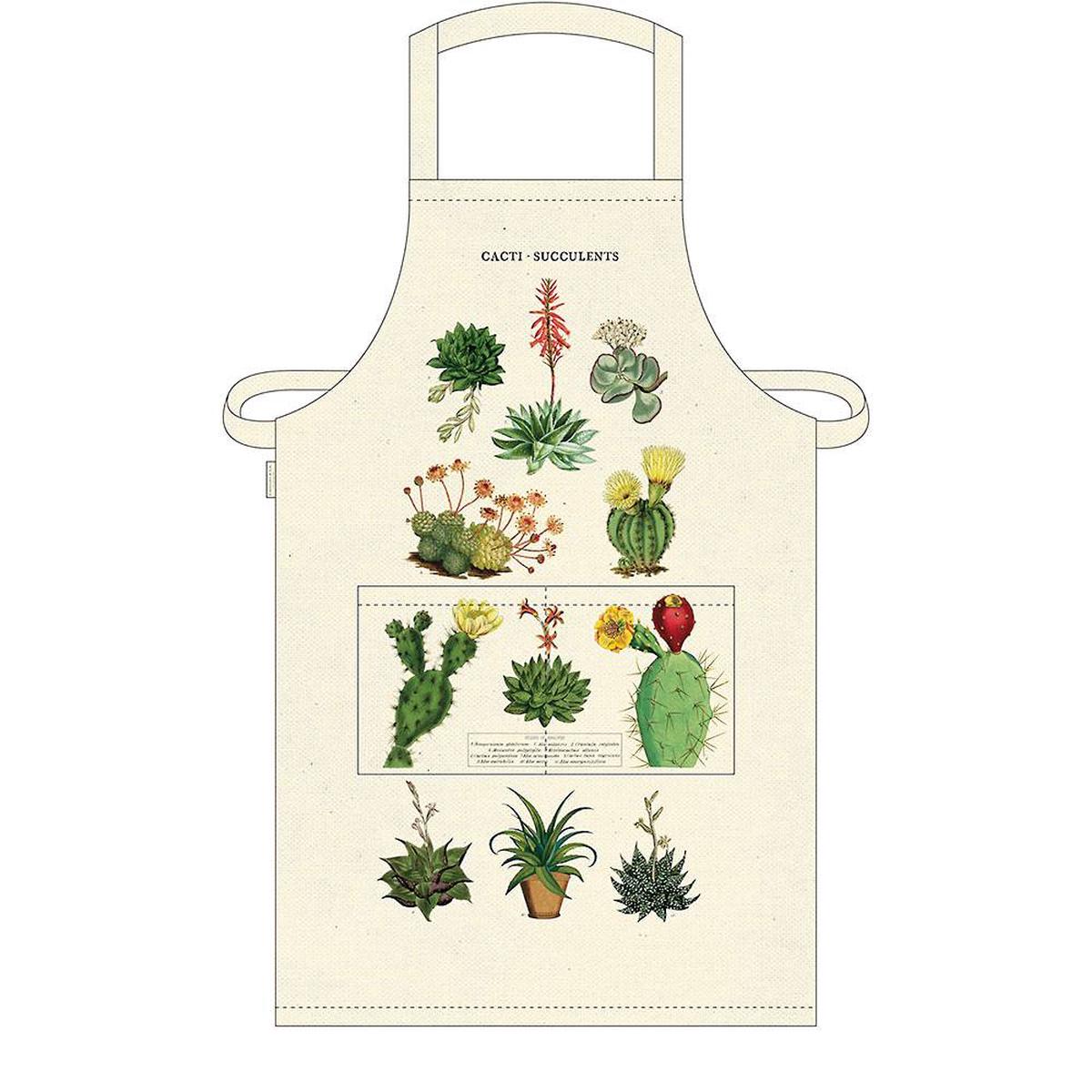 Cavallini & Co. - Apron - Succulents