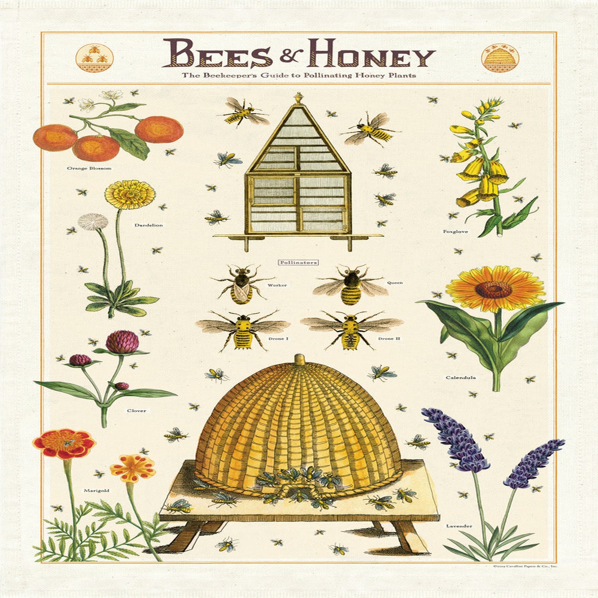 Cavallini Co Tea Towel - Bees