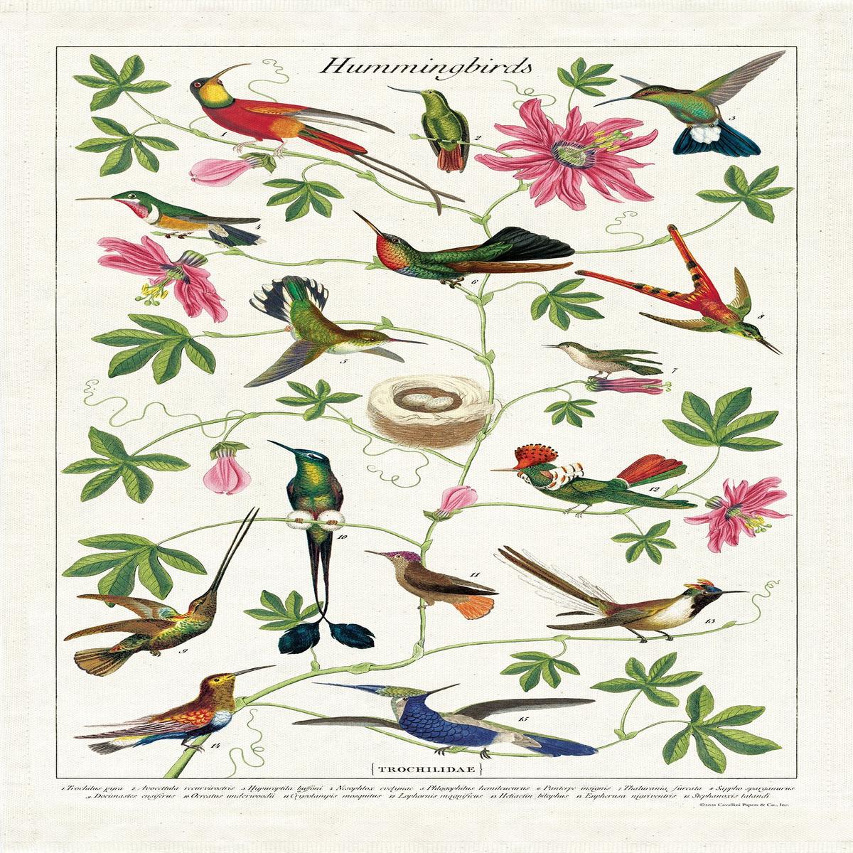 Cavallini & Co. - Tea Towel - Hummingbirds
