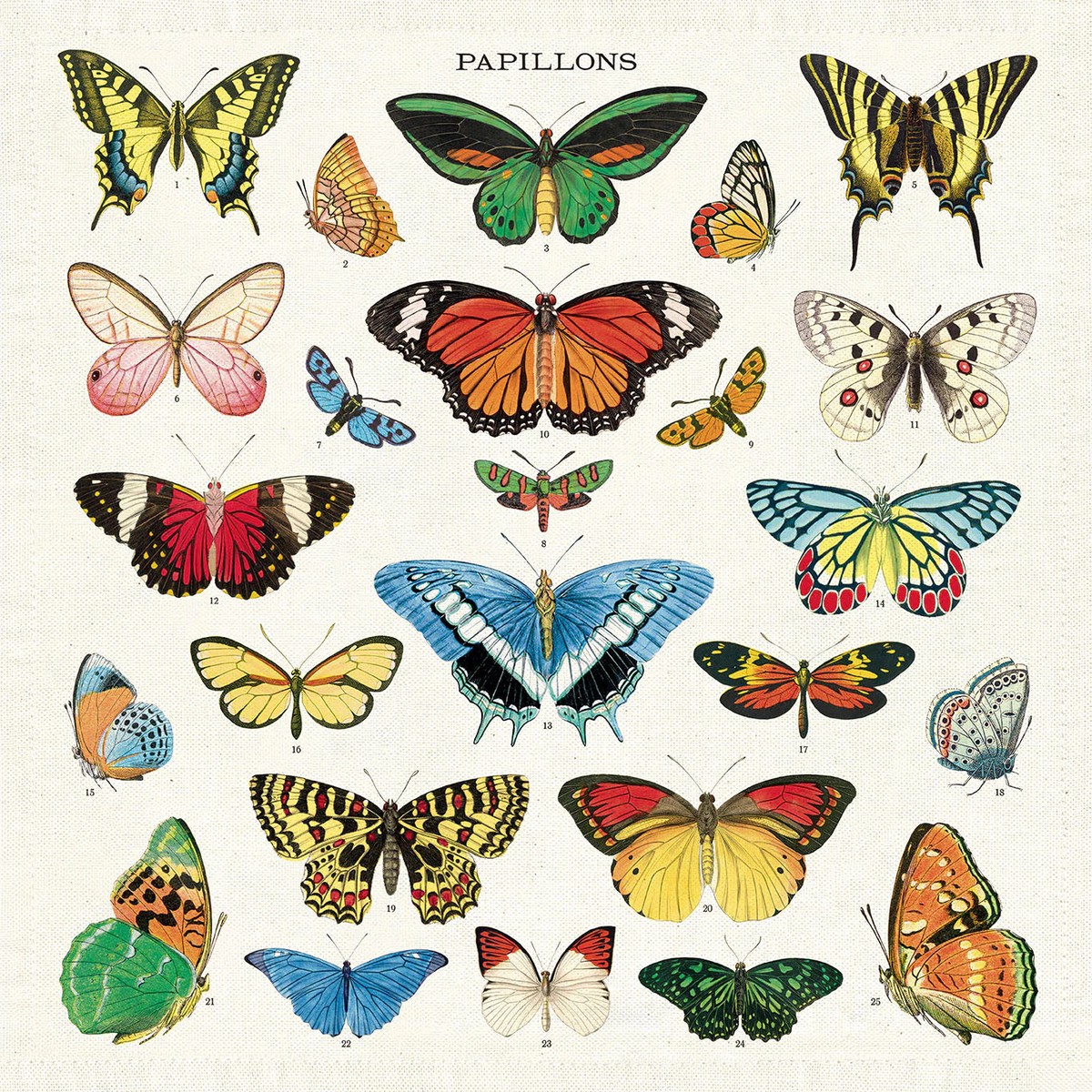 Cavallini Co Vintage Napkins (Set of 4) Butterflies