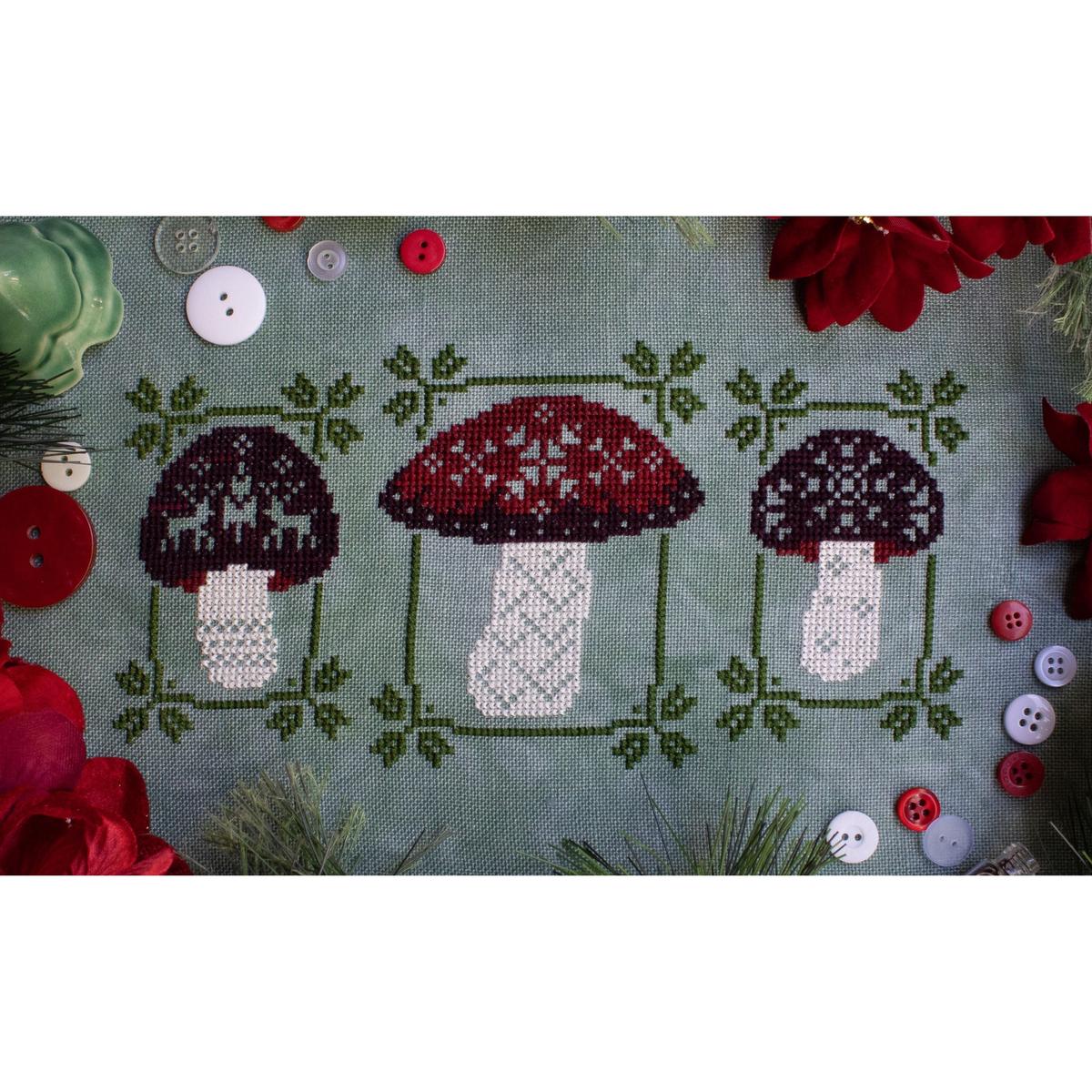 Sprouting Lupine | Festive Fungi