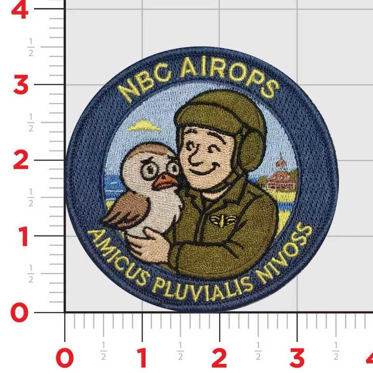 Naval Base Coronado Snowy Plover Patch