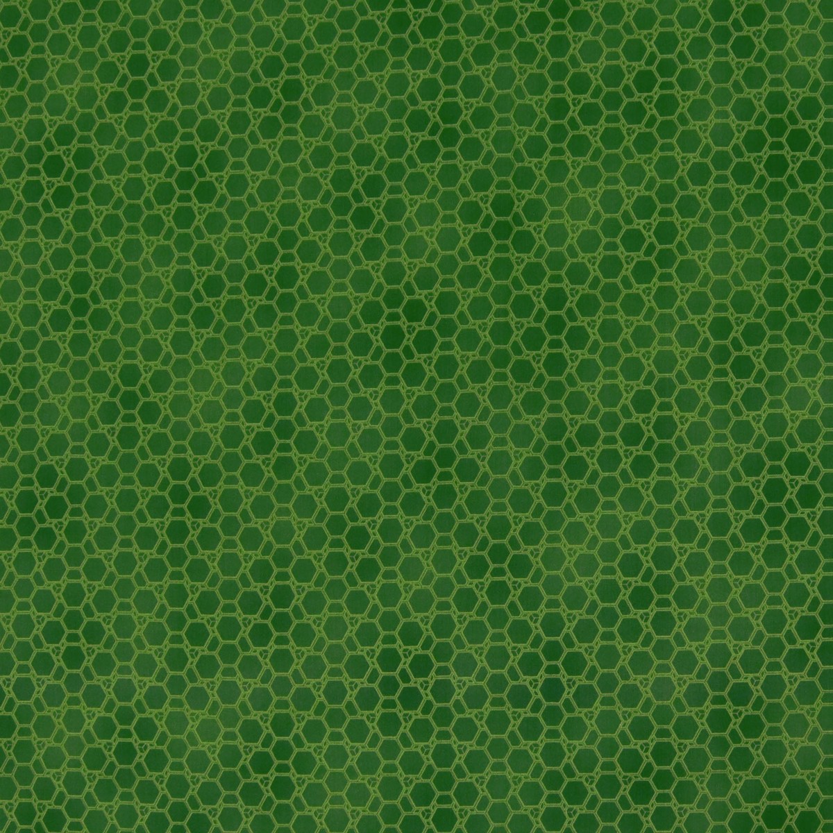 Newer Worlds Beasley Fabric Collection - Emerald