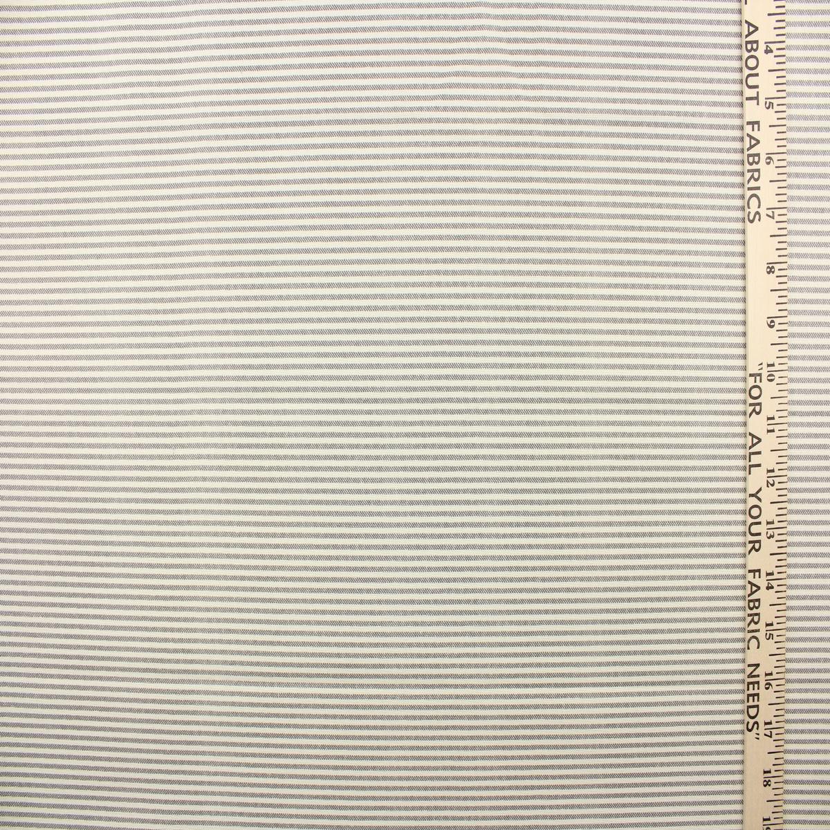 Richloom Edgar Ticking in Graphite