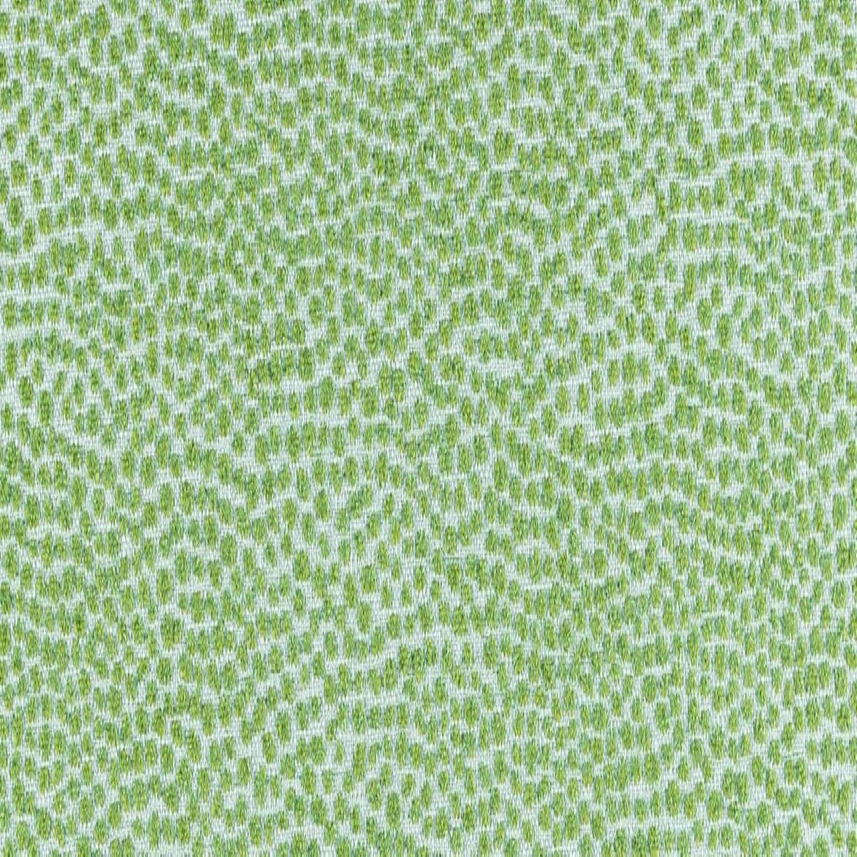 Dotify 288 Pear Covington Fabric
