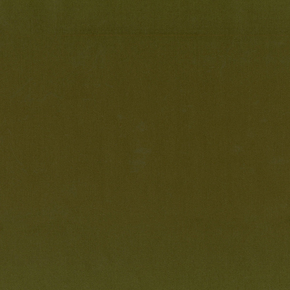 Molly Loden Regal Fabric