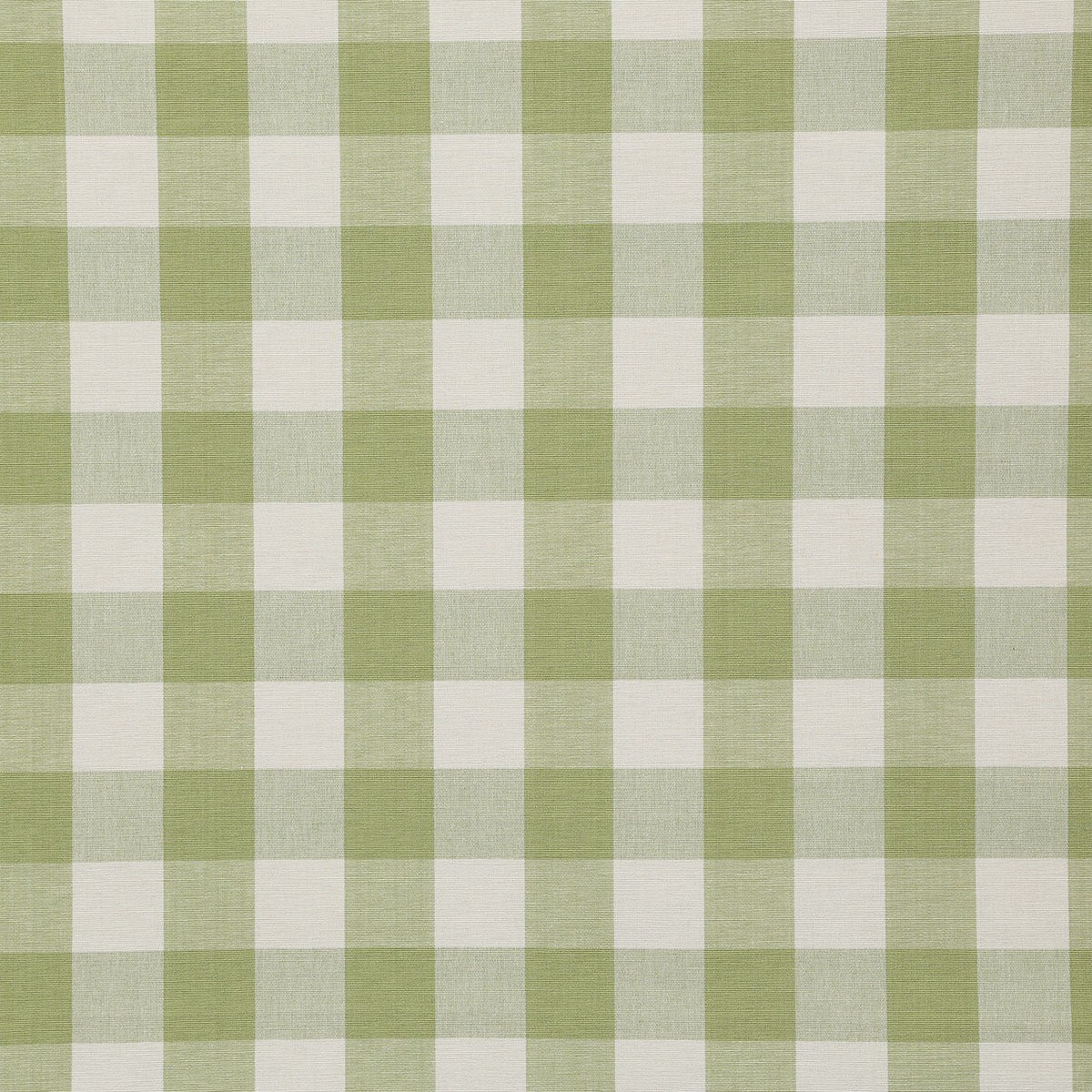 7110 SAWYER-LEAF - Pindler Fabric