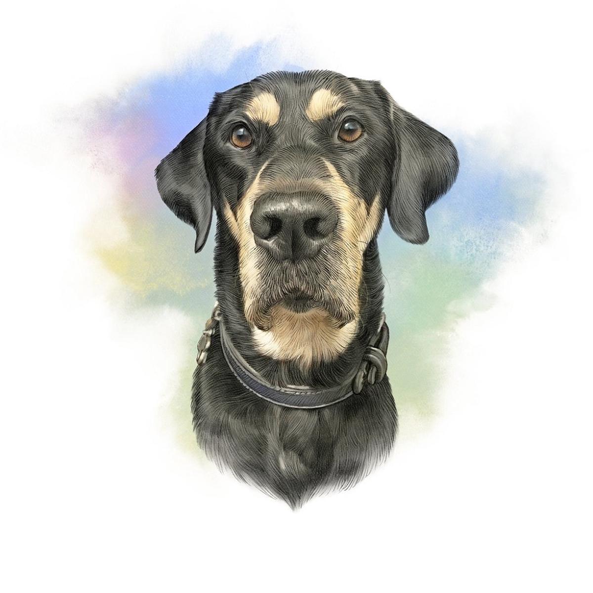 Large Bicolor Domestic Dog Portrait Fabric Panel