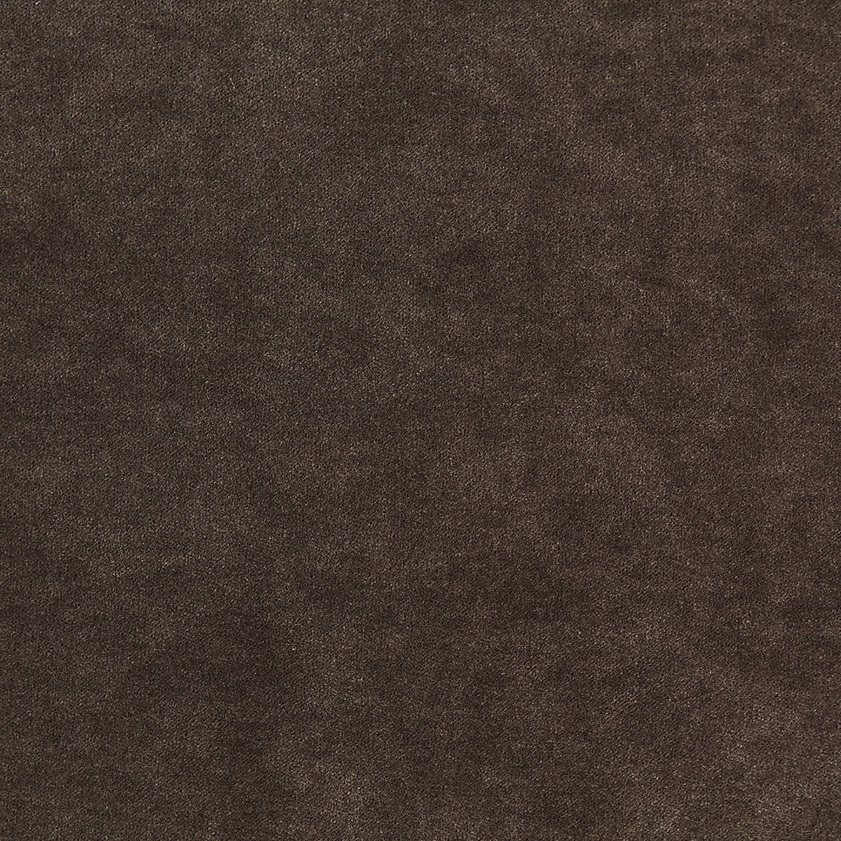 Aurora Velvet - Sable by Scalamandre Fabric