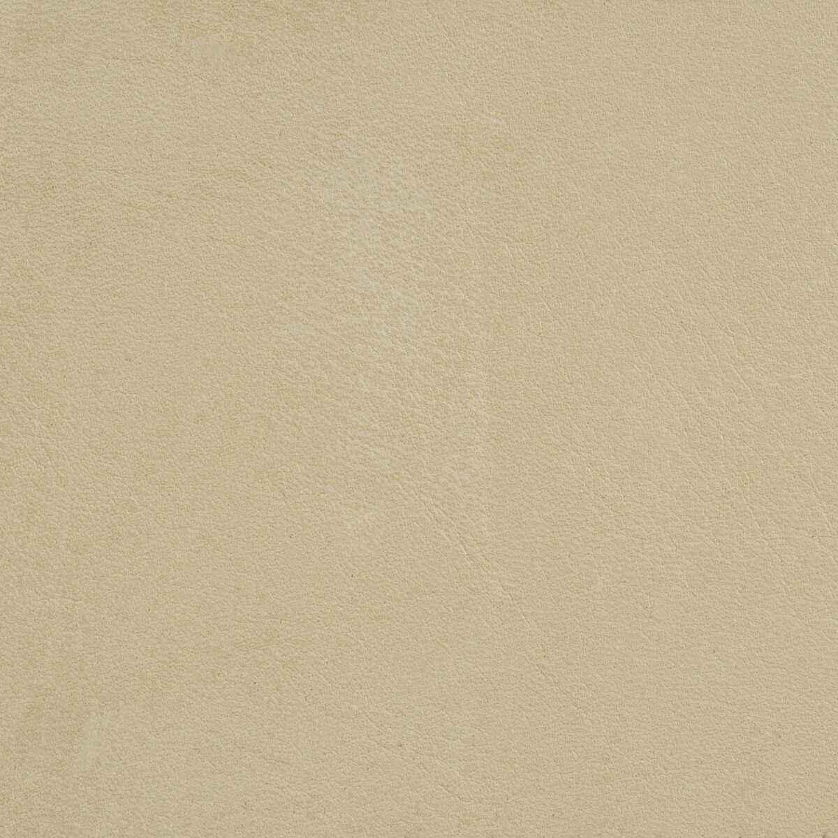 Larizonaputty0 L Arizona Putty Kravet Design Fabric