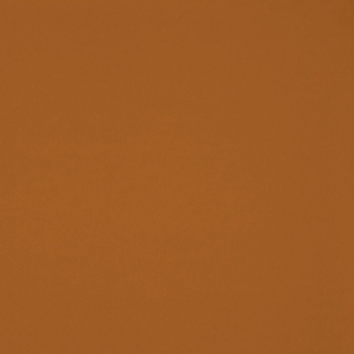 Chaparral Performance FR Faux-Leather - Butterscotch - RM Coco - Fabric by the Yard