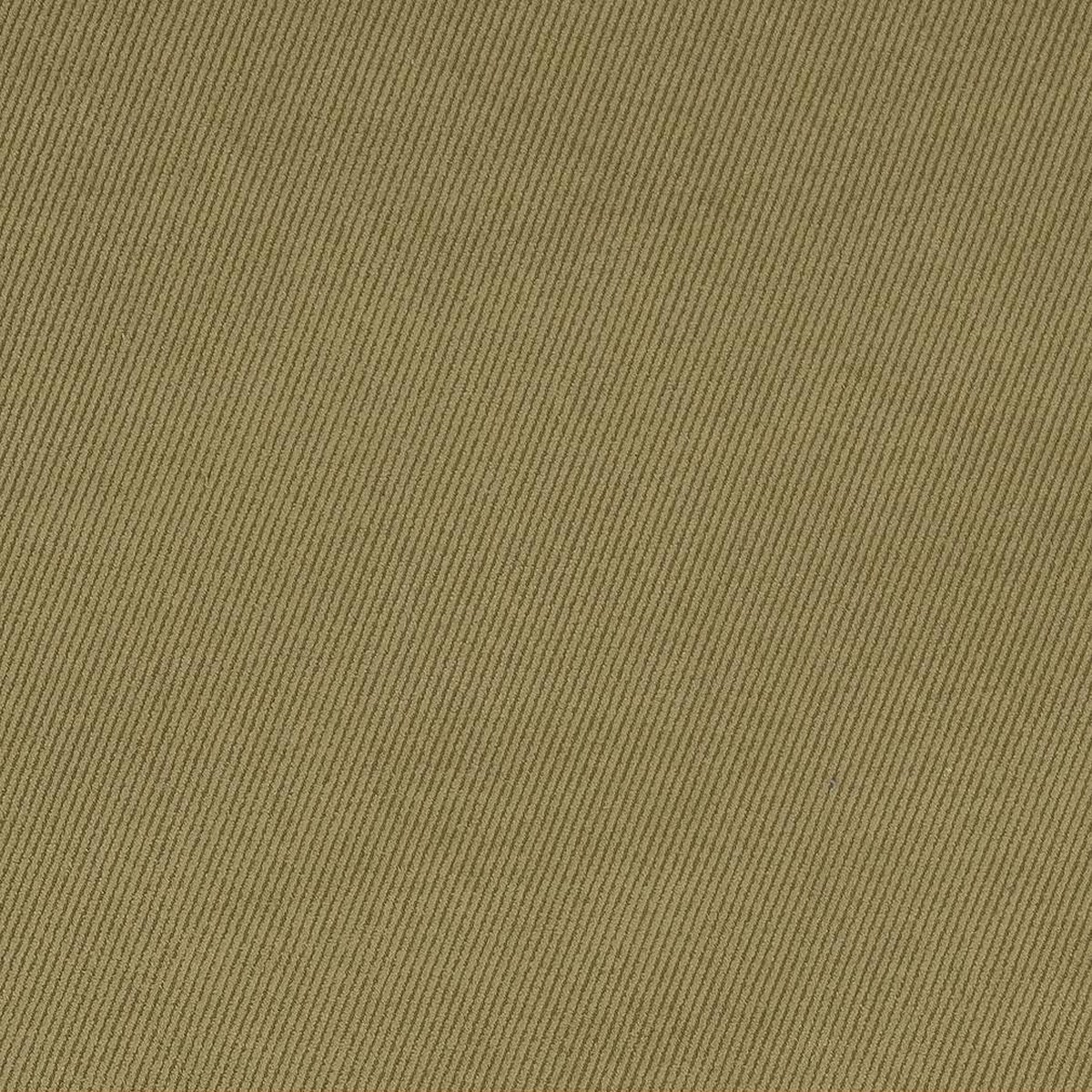 D1760 Plain & Solid Sage Green Charlotte Fabrics