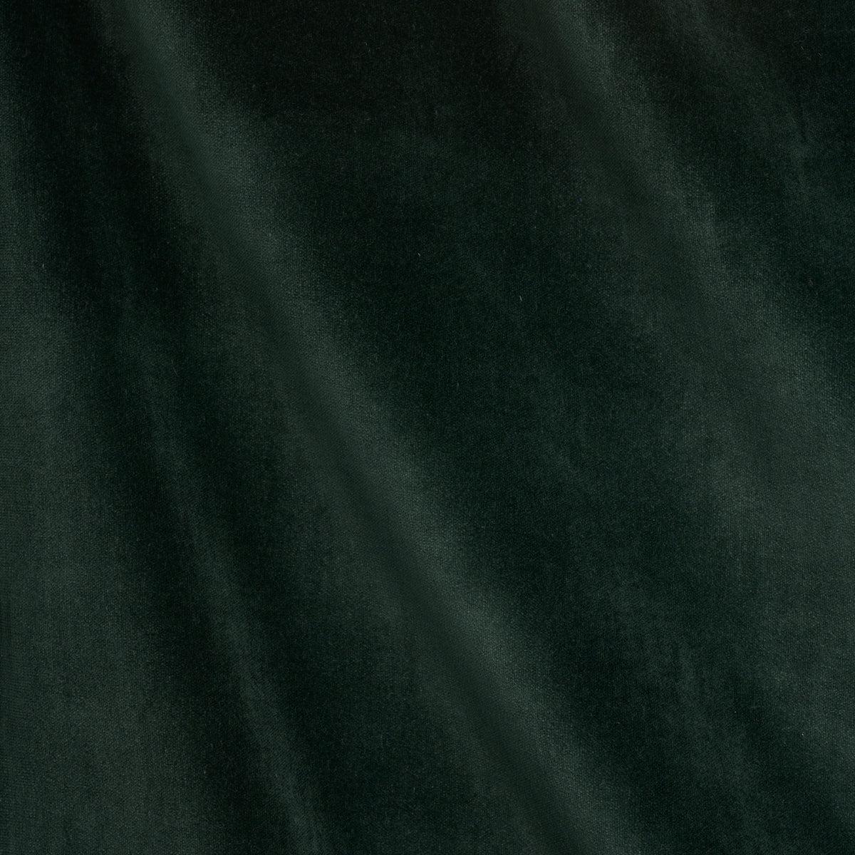 SCHUMACHER PERFECT BASICS: VELVET ROCKY PERFORMANCE VELVET VELVETS,HIGH PERFORMANCE VELVETS,HIGH PERFORMANCE PINE - 70489