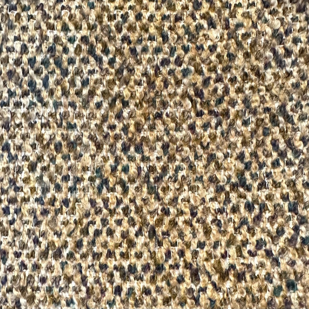 Chasnel Jungle Crypton Home Fabric