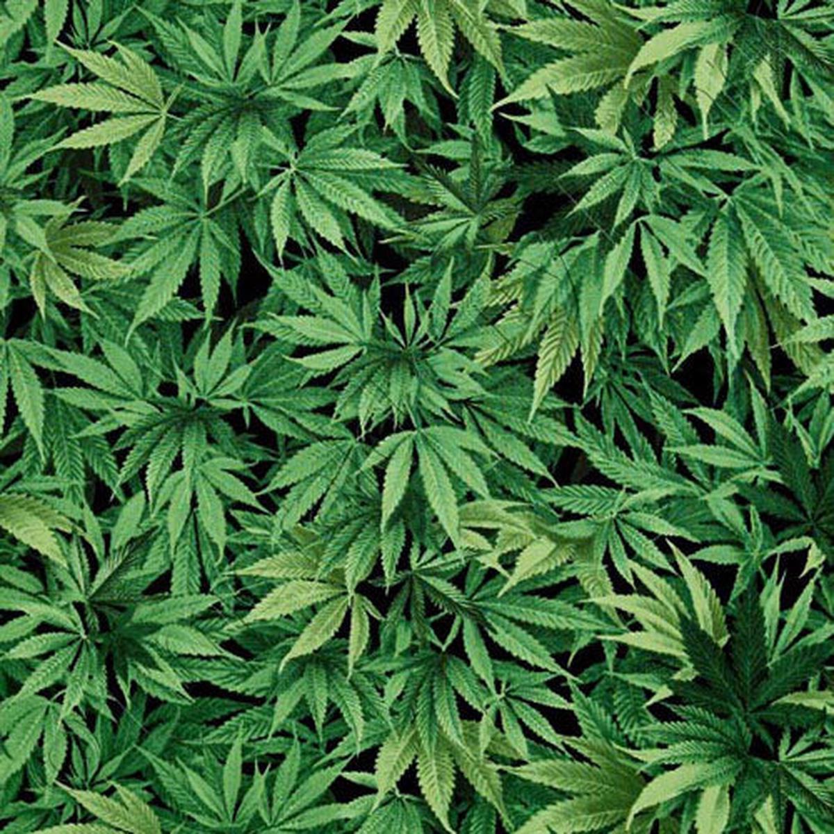 Pot Weed Plant Cotton Fabric