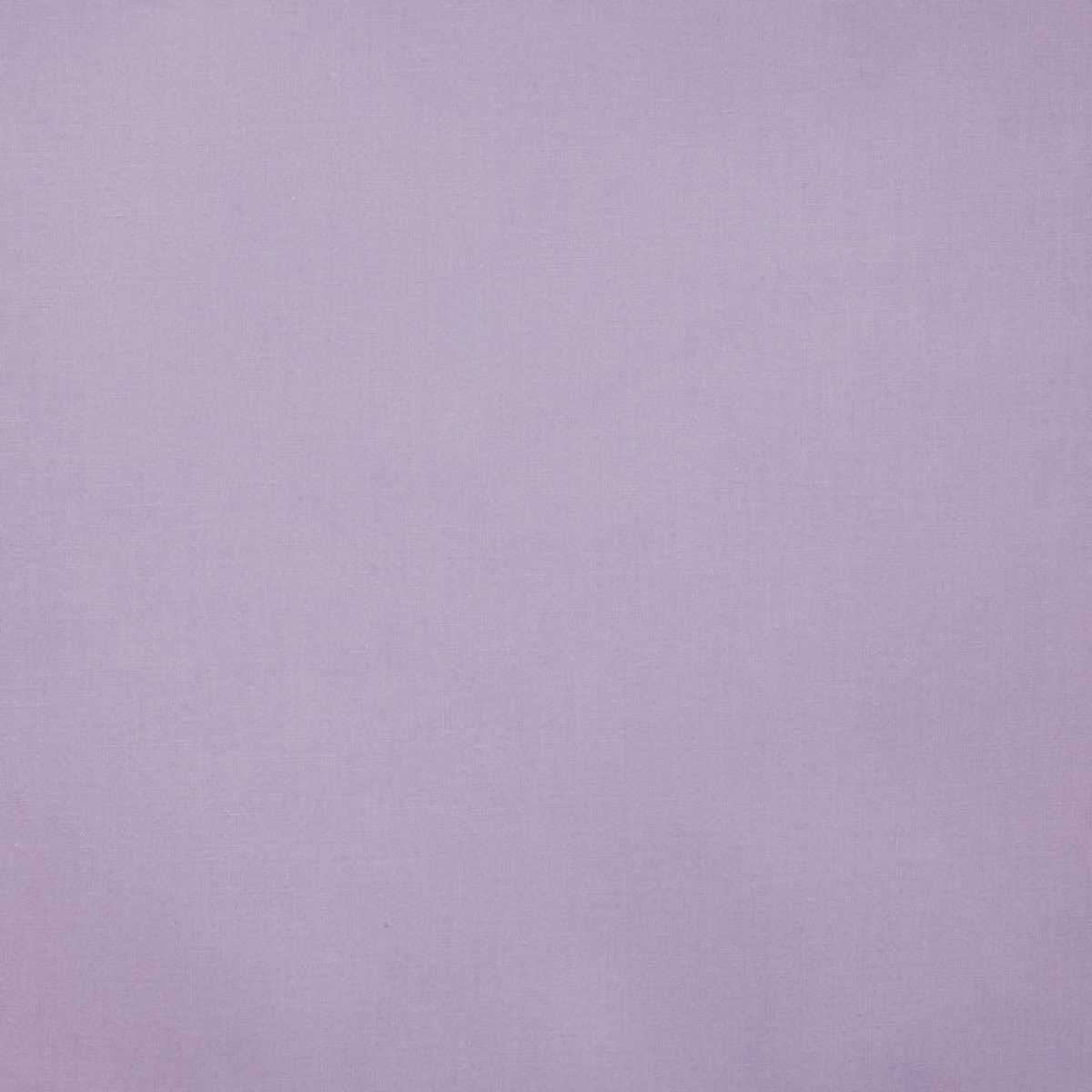 Bella Solids - Lilac Yardage