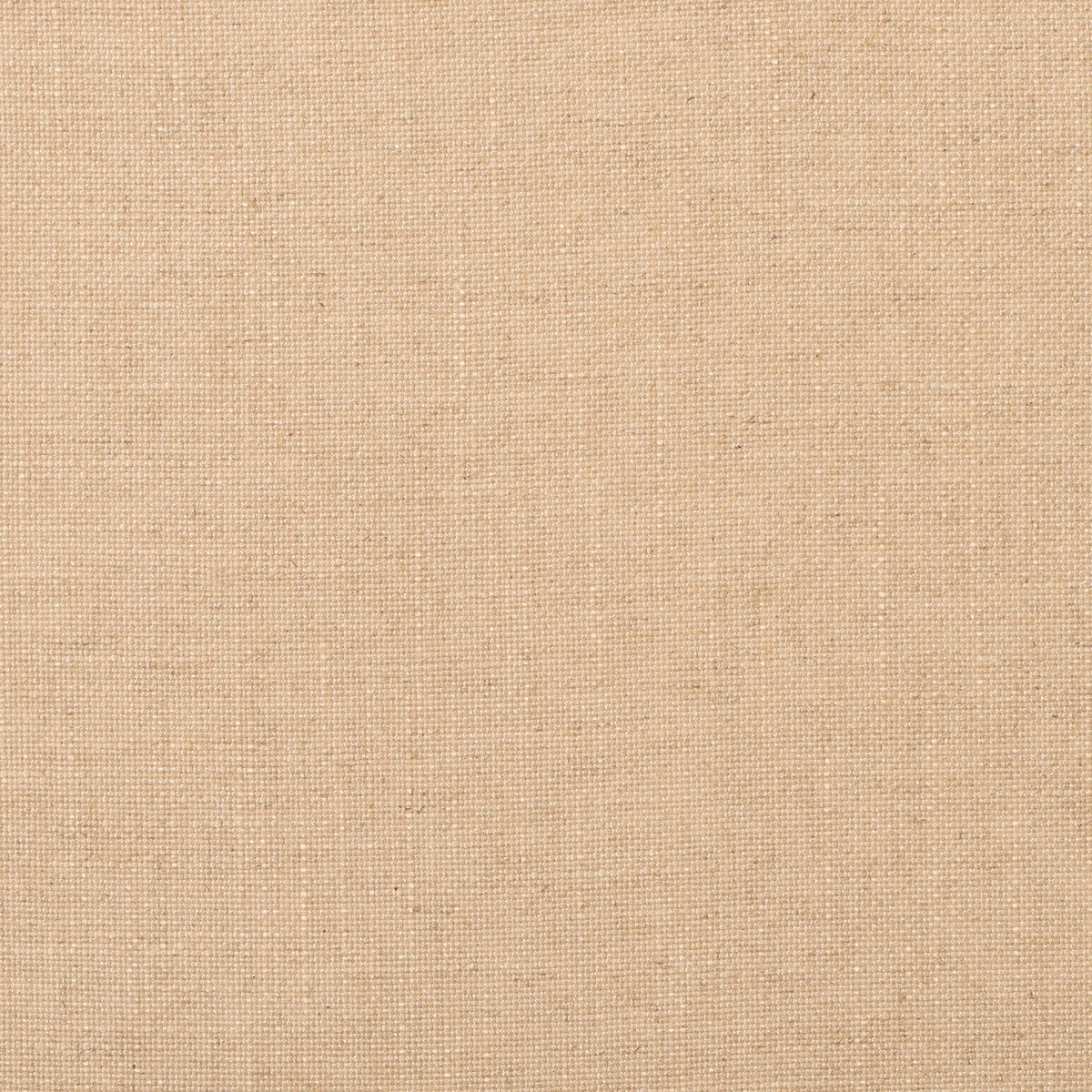 Evere - Crypton Home - Cream