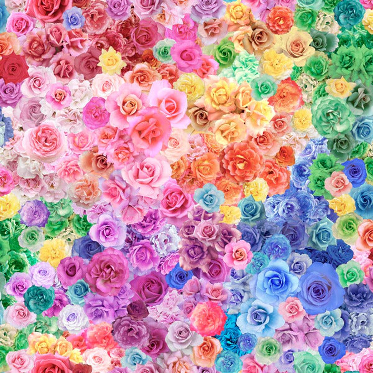 Gradients Parfait by Moda Fabrics: Roses - Fantasy