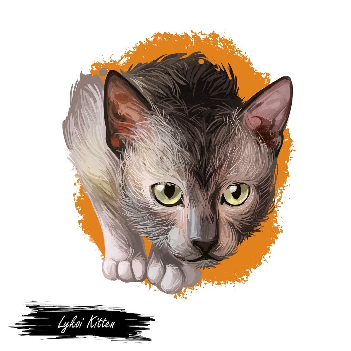 Lykoi Kitten Portrait Fabric Panel