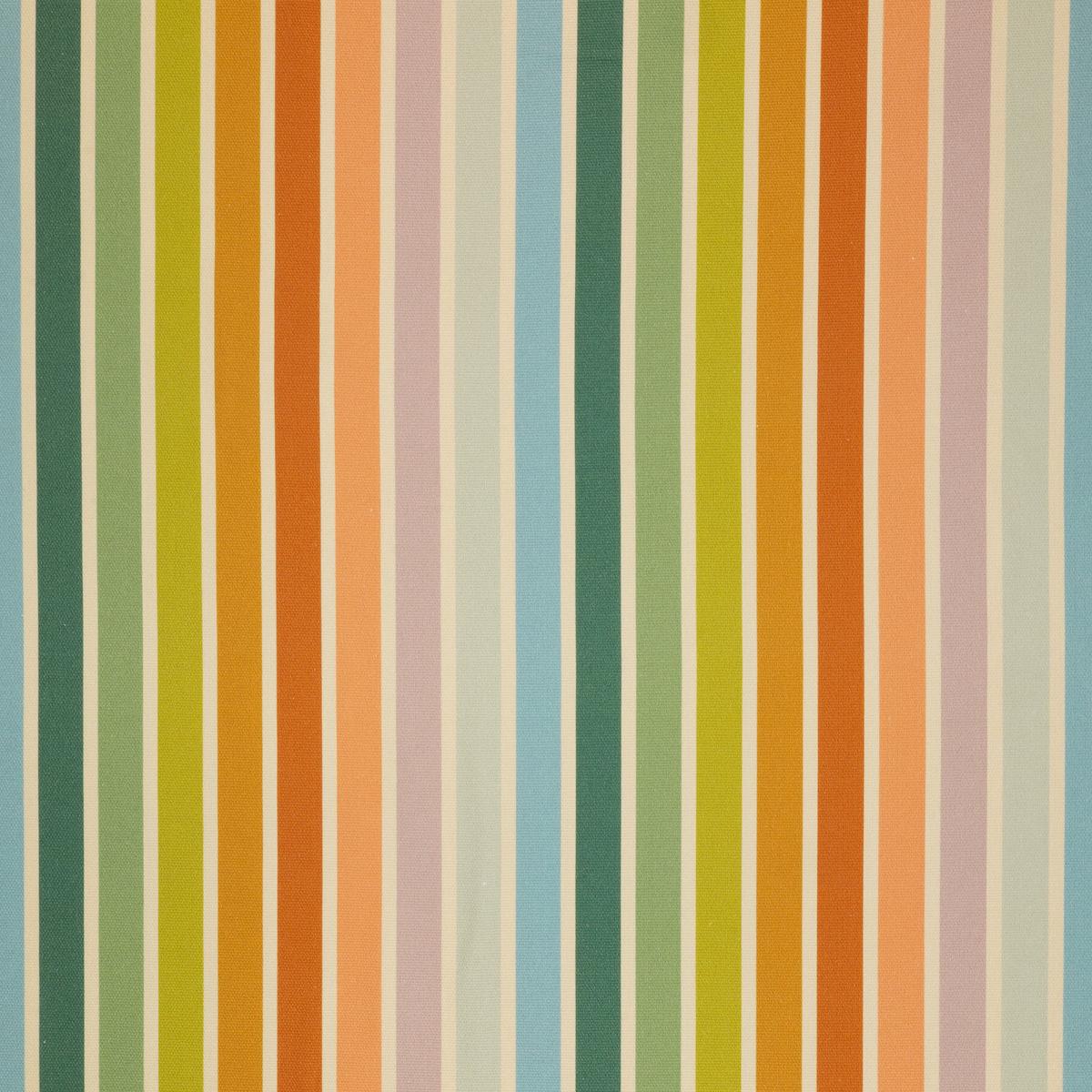 Summer Stripe in Canvas