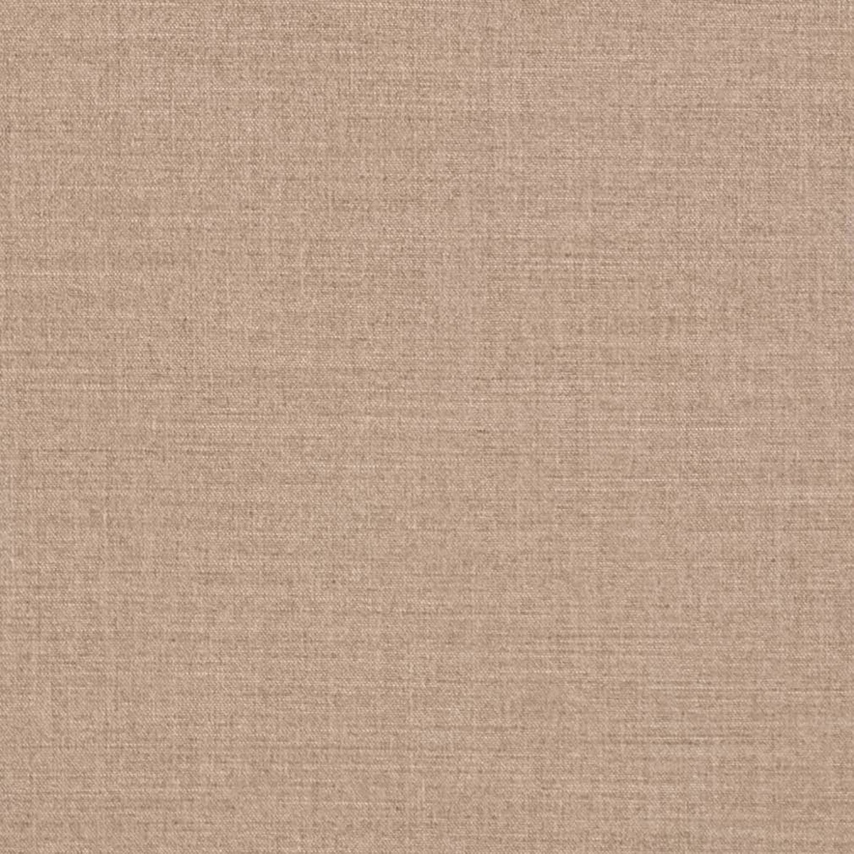 D3423 Plain & Solid Taupe Beige & Taupe,Brown Charlotte Fabrics
