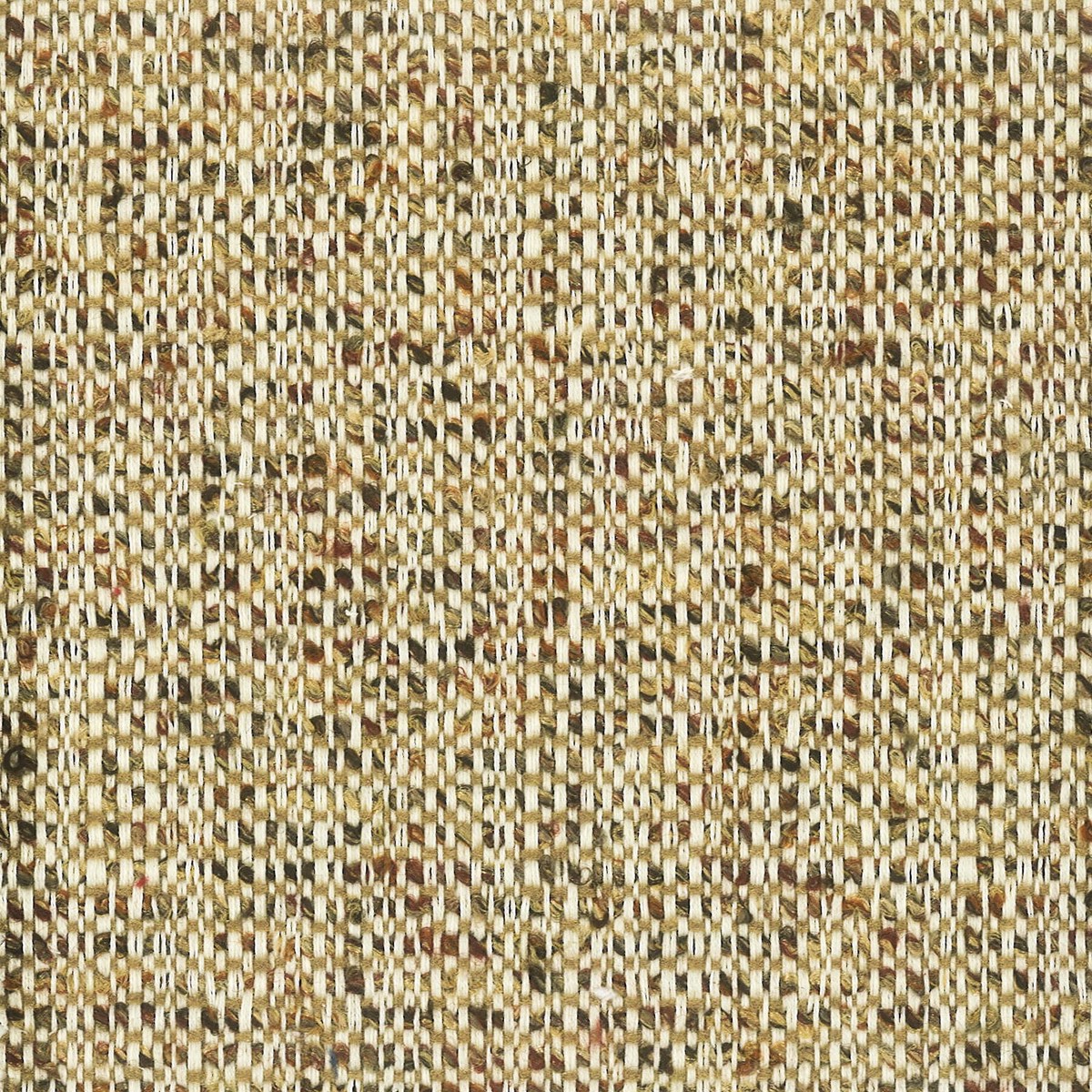 BRIDLE 2 ACORN
