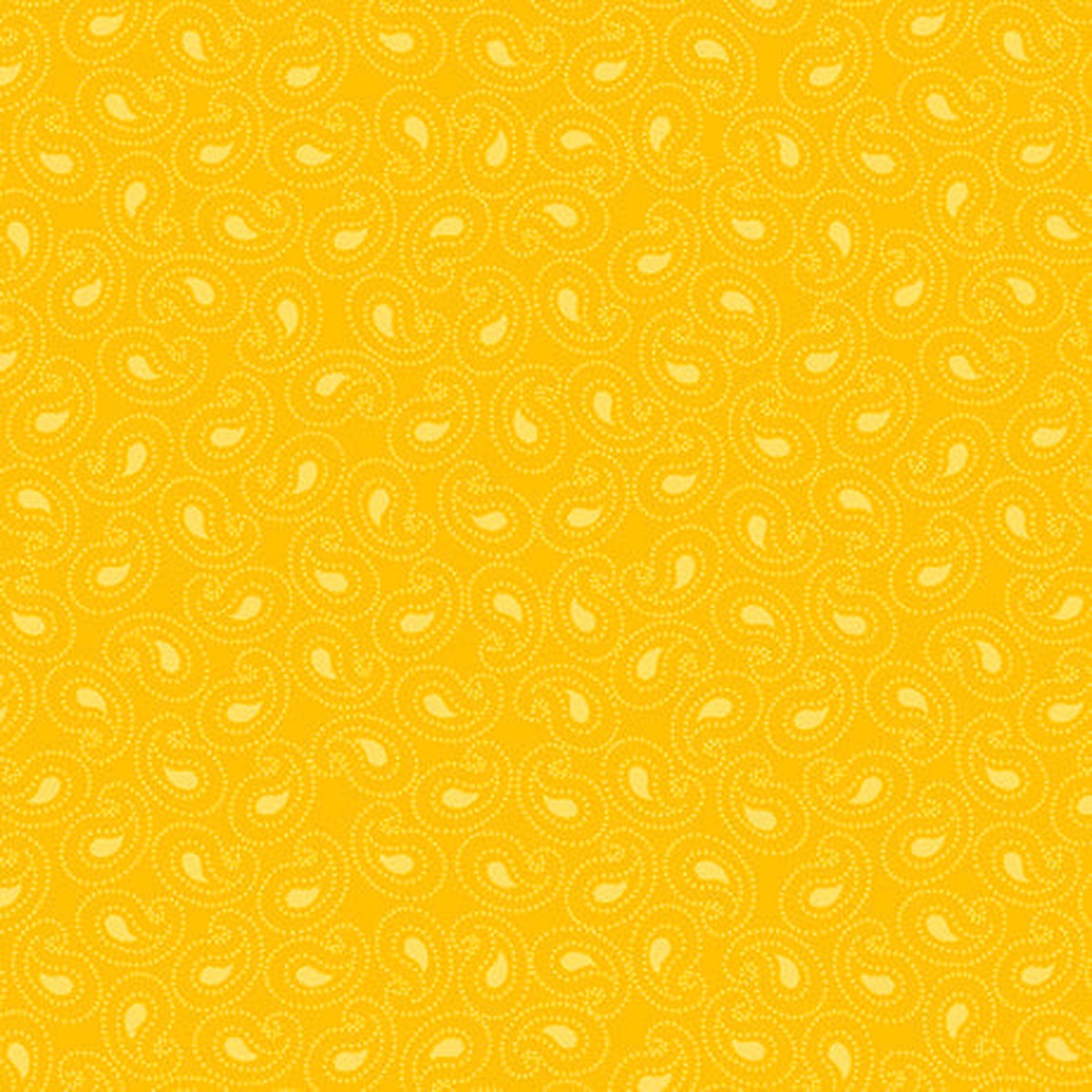 Illusions Buttercup A
