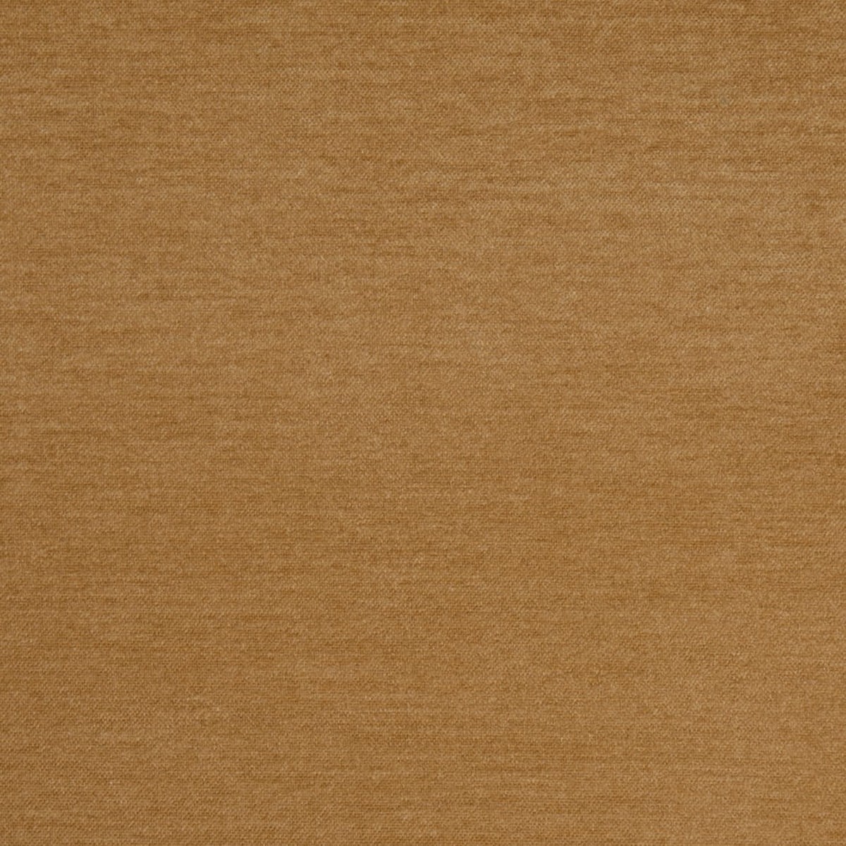 D4904 Plain & Solid Honey Gold & Yellow Charlotte Fabrics