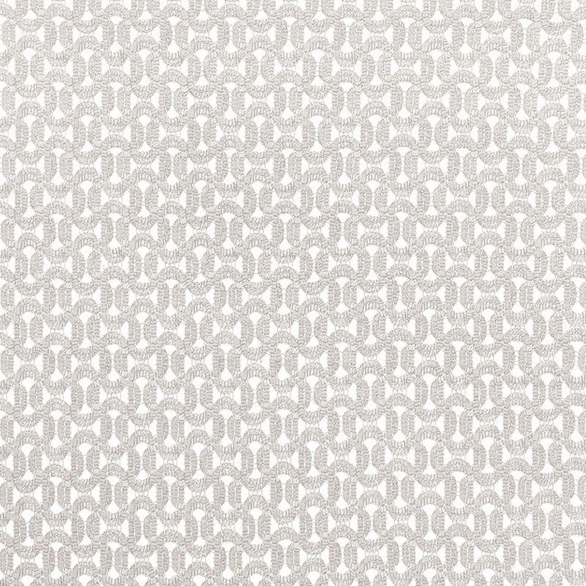 Riccardi Sheer Zinc Fabric