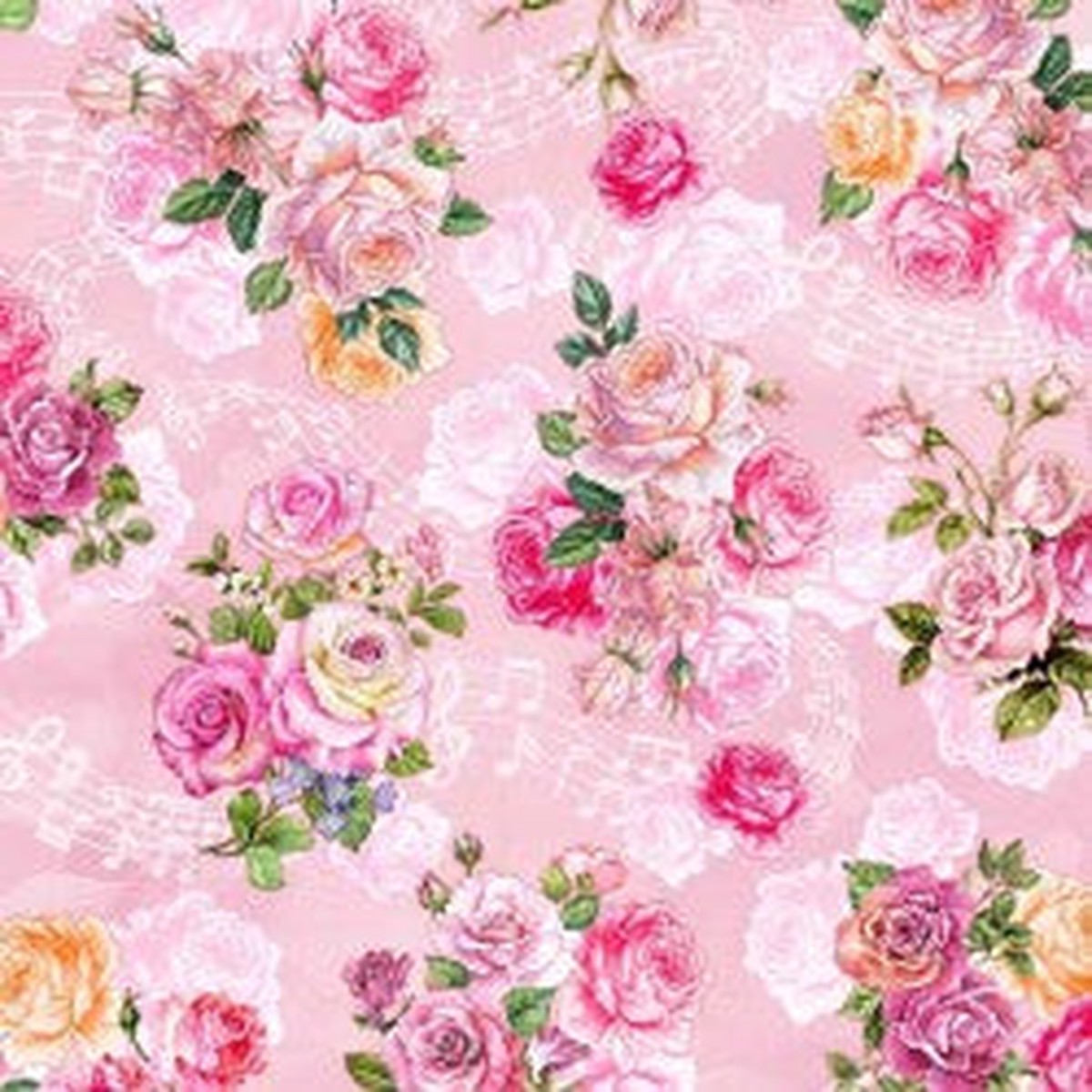 Spring Song Fairy Roses, Pink