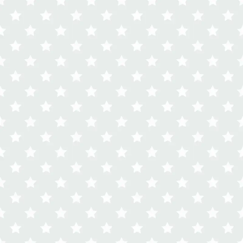 Stars Basics Fabric - White on Silver