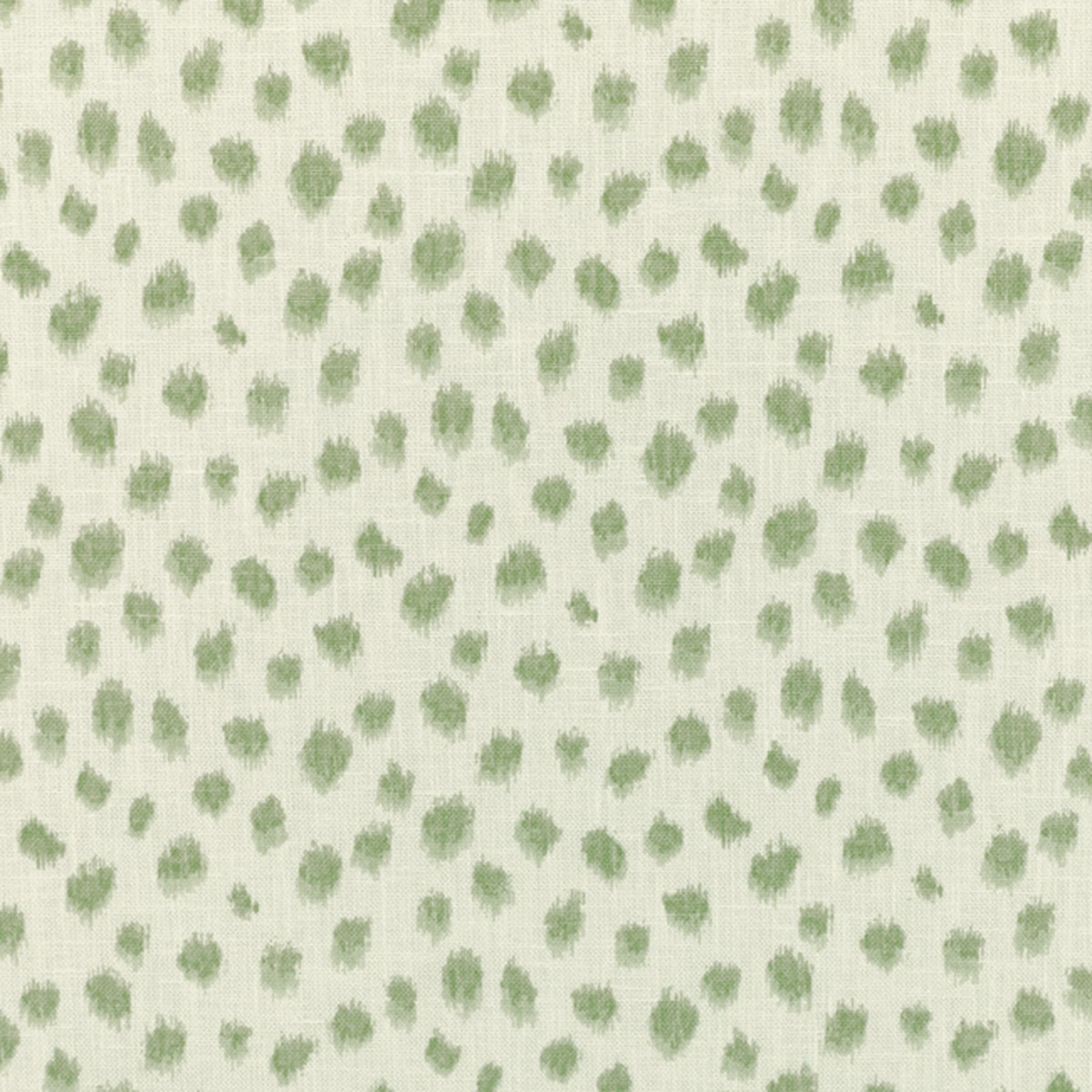Kravet Basics - Jungleikat-30