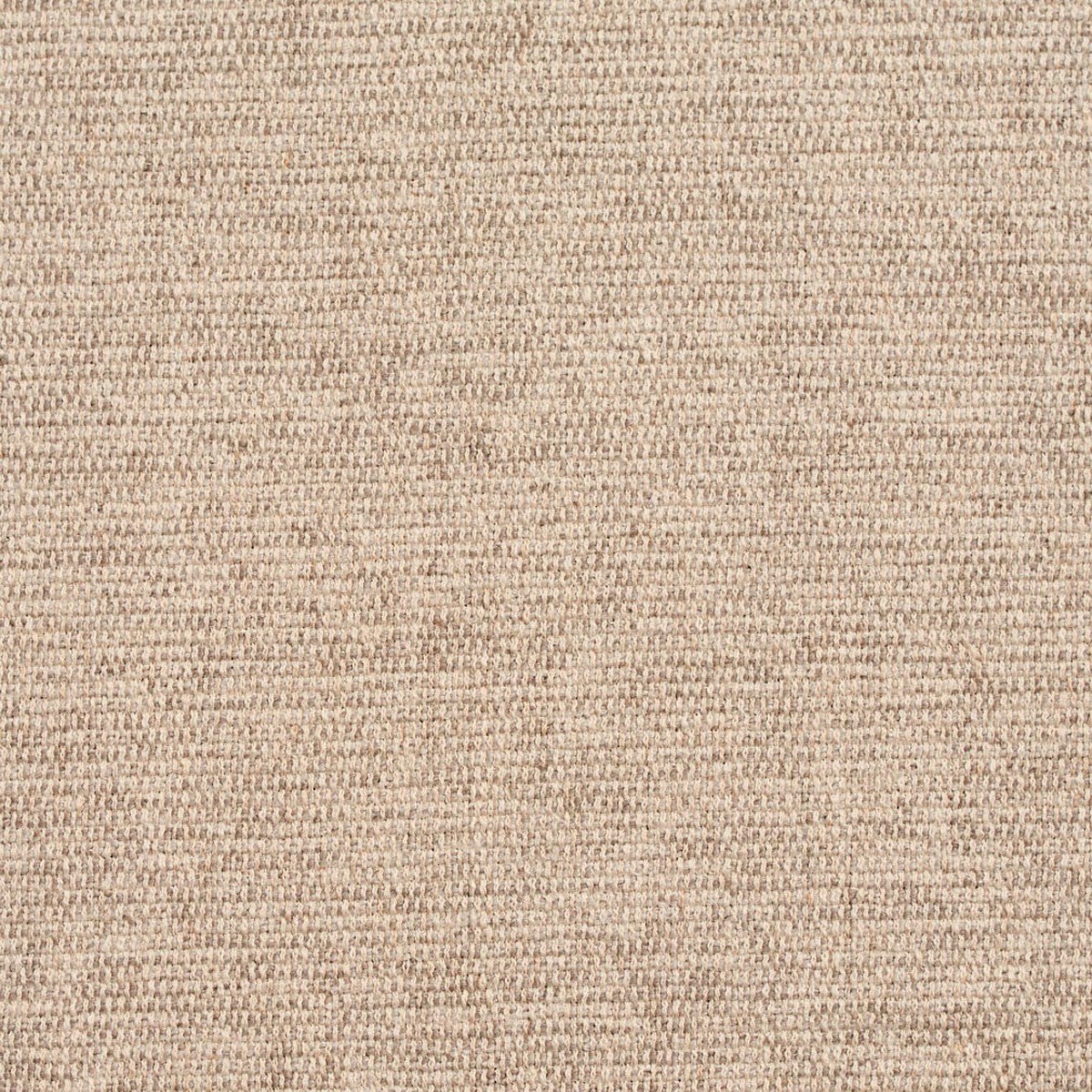 Charlotte - D249 - Natural - Fabric by the Yard