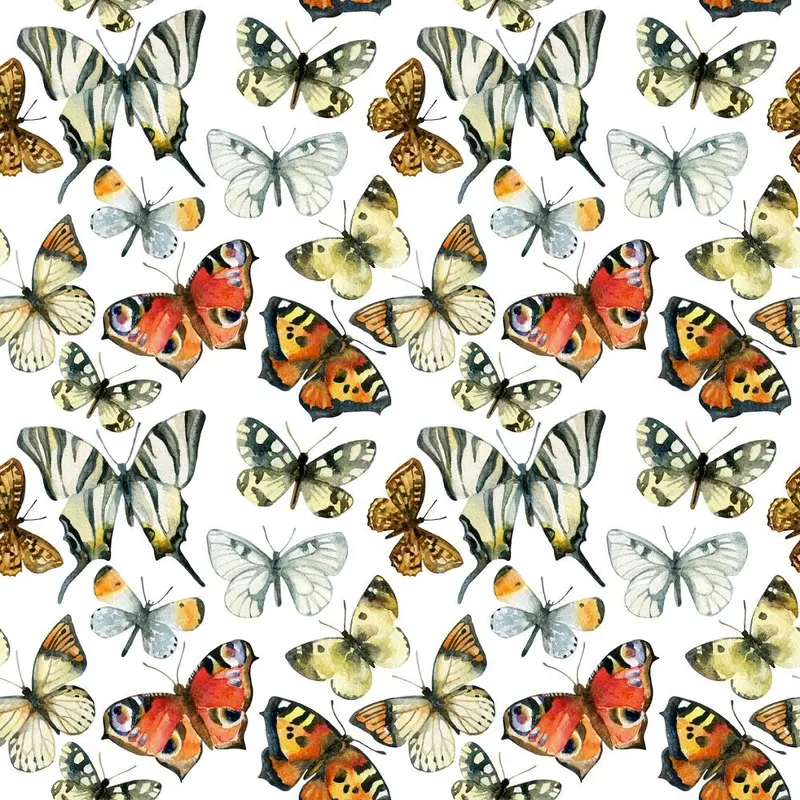 Beautiful Butterflies Fabric - White