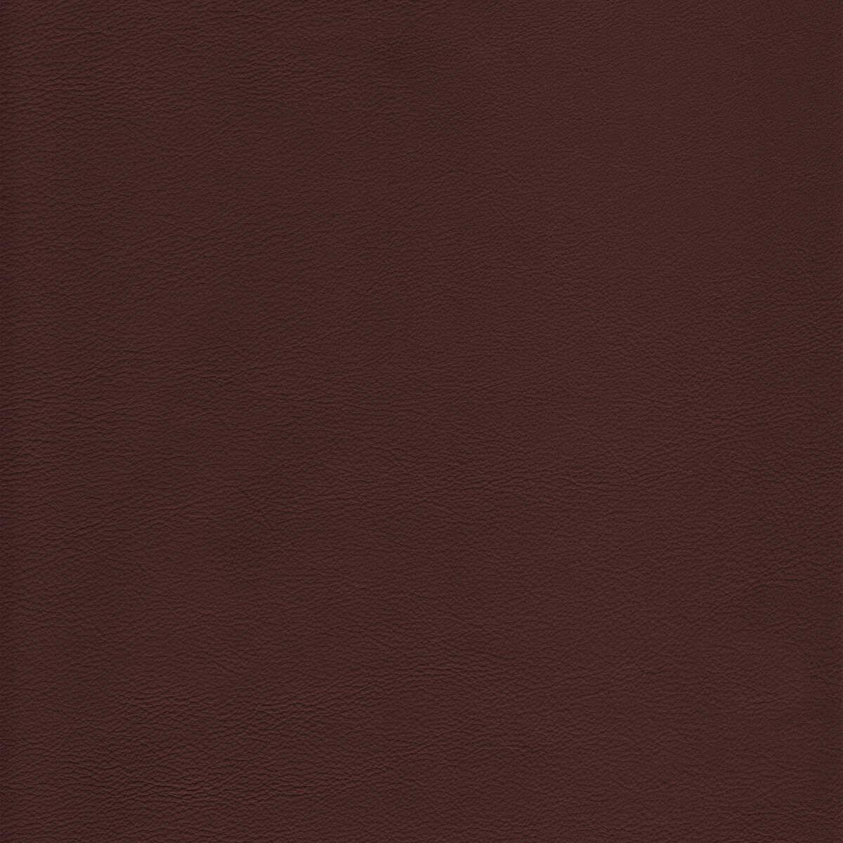 Lhowdylatte0 Kravet Design L Howdy Latte Kravet Design Fabric