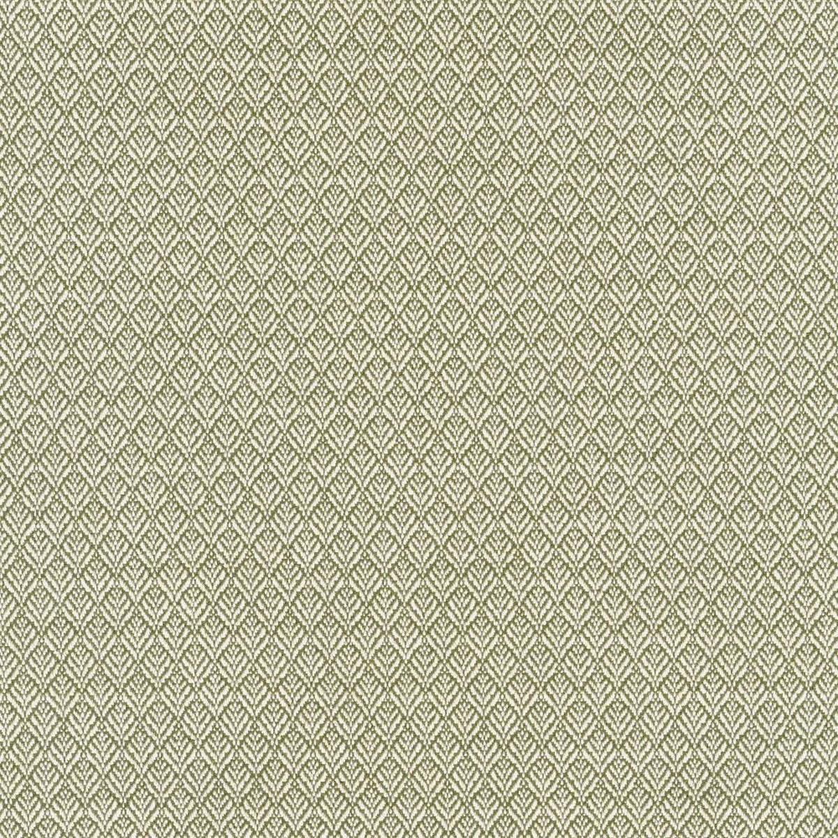Tend Fern Regal Fabric