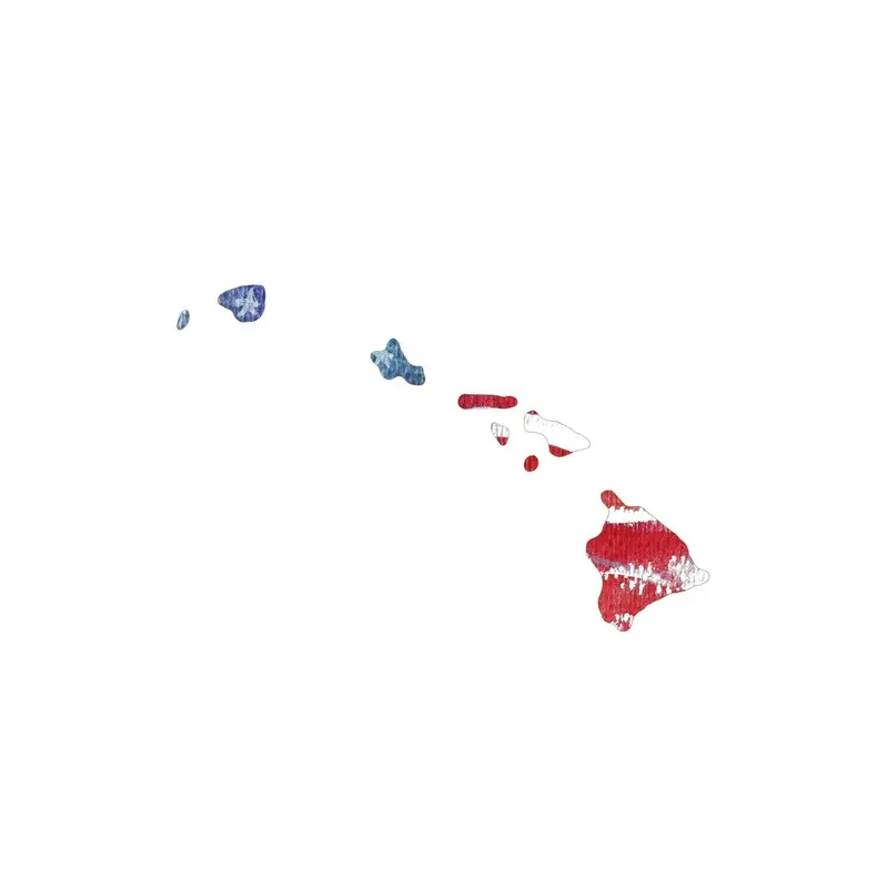 Watercolor Textured Flag Fabric Panel - Hawaii