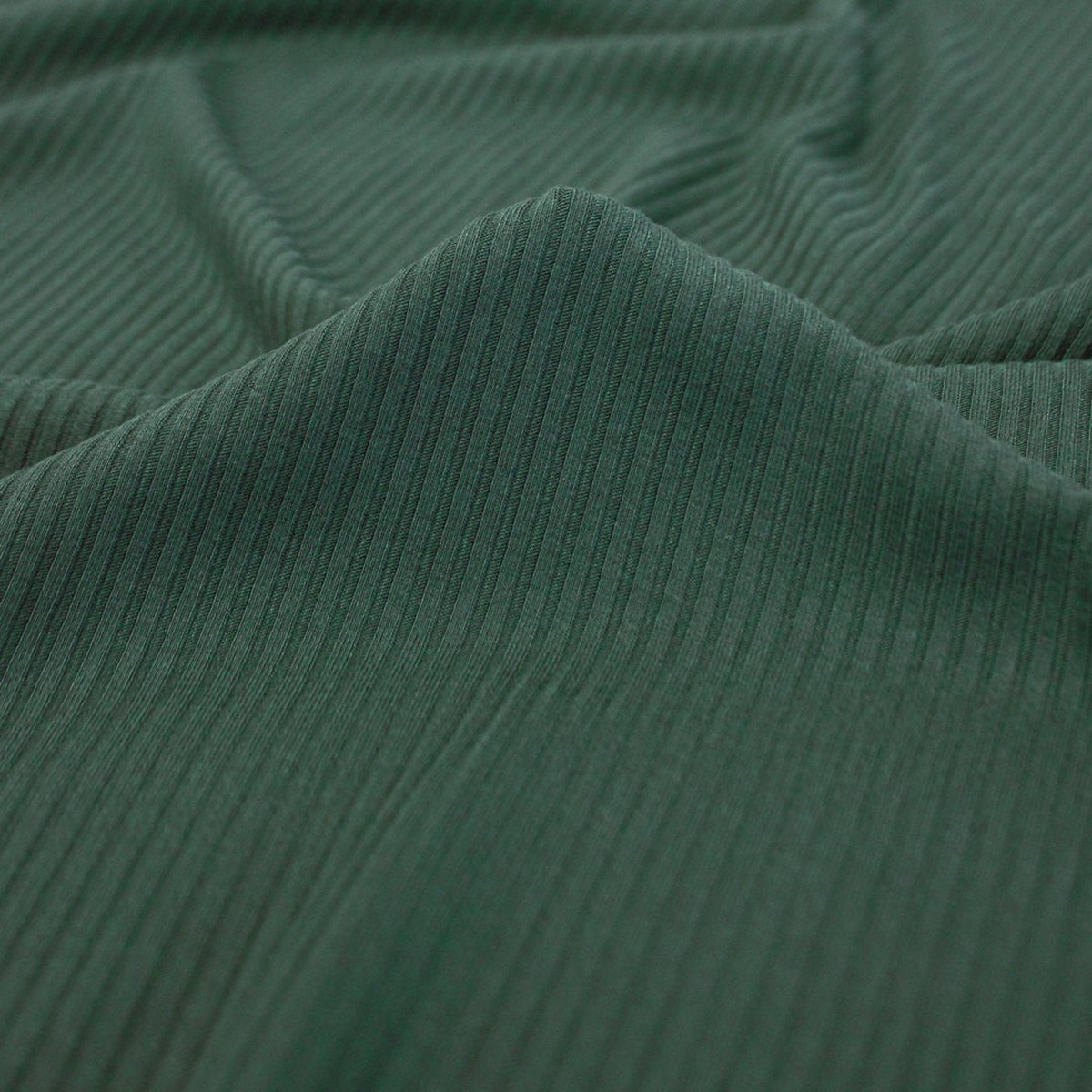 Medium Weight Bamboo Rib Knit - Spruce