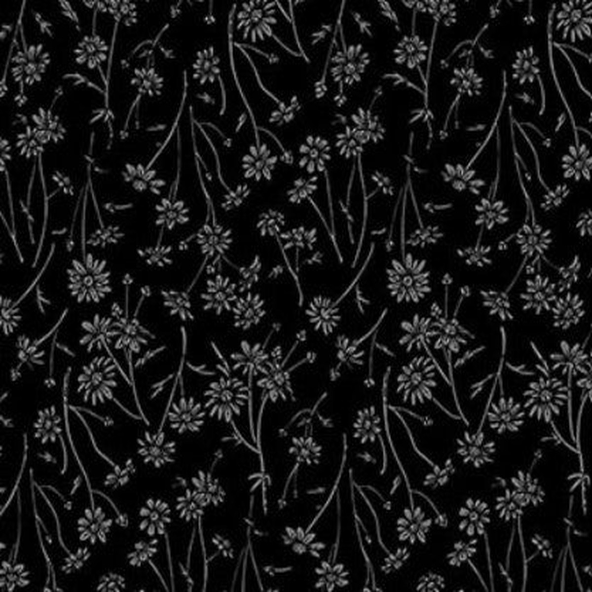 Nature's Sketchbook - Daisies - 28529-99