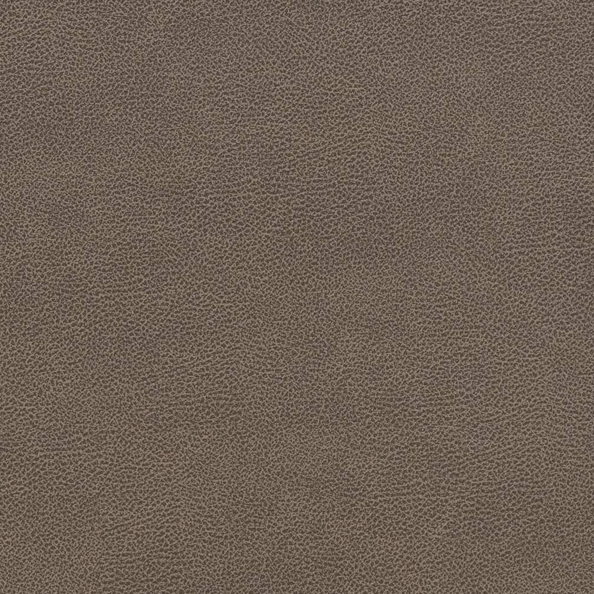 Charlotte - V507 - Ash - Fabric by the Yard