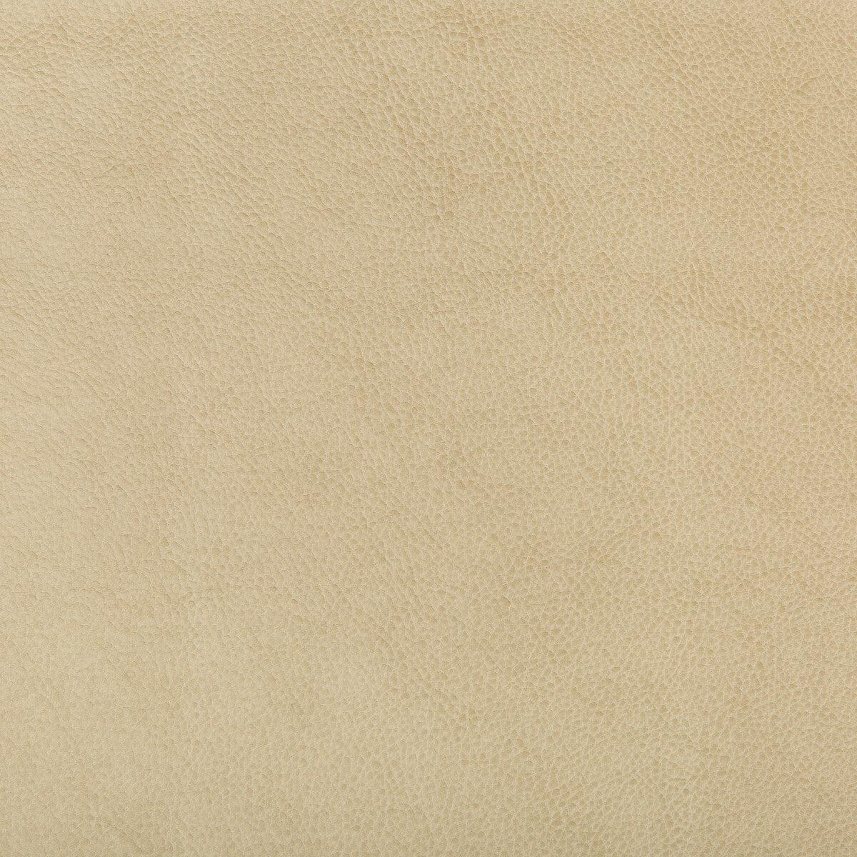 KRAVET DESIGN - KRAVET DESIGN- RUFFIAN-16 - Fabric by the Yard - RUFFIAN-16