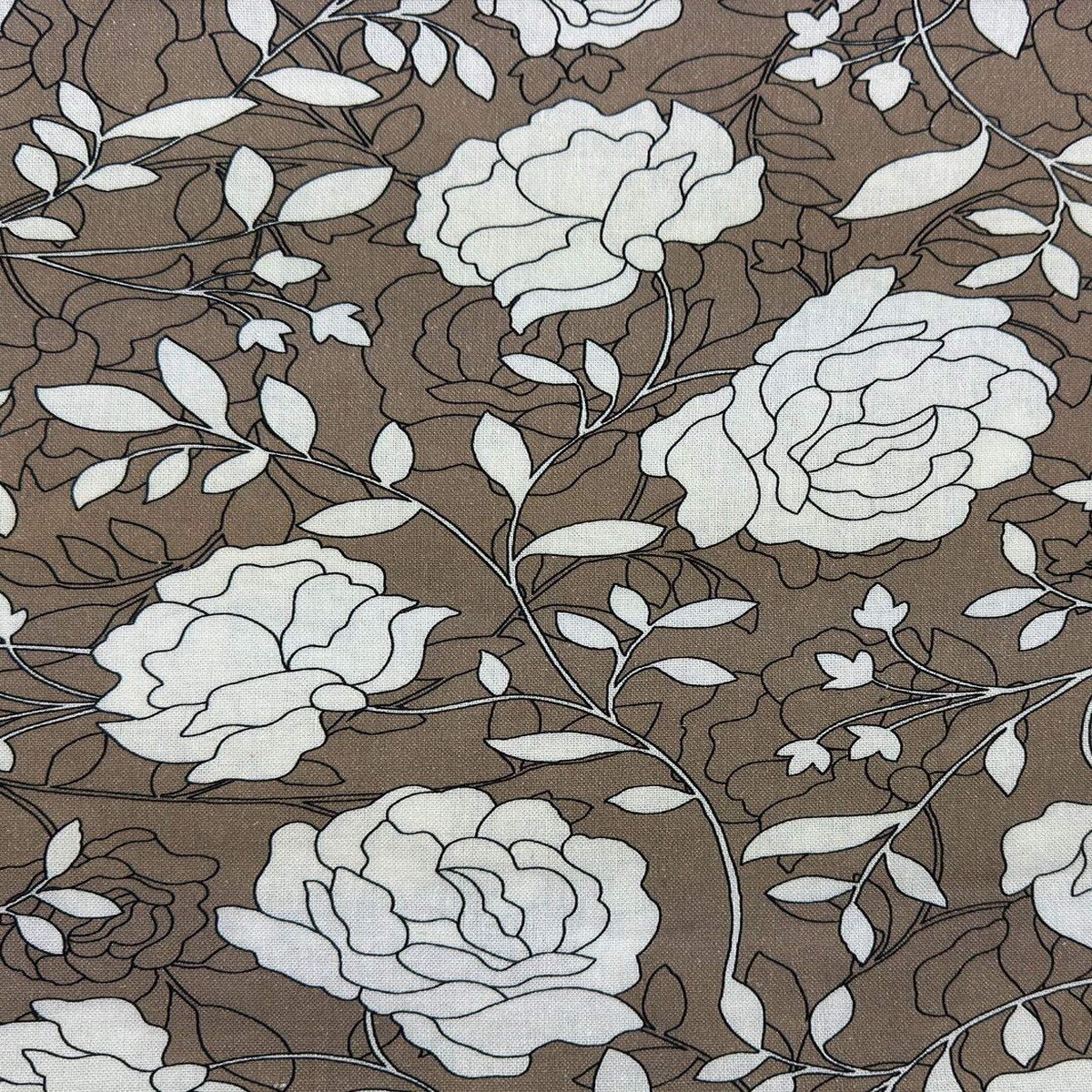 Palma Climbing Roses Bark / White
